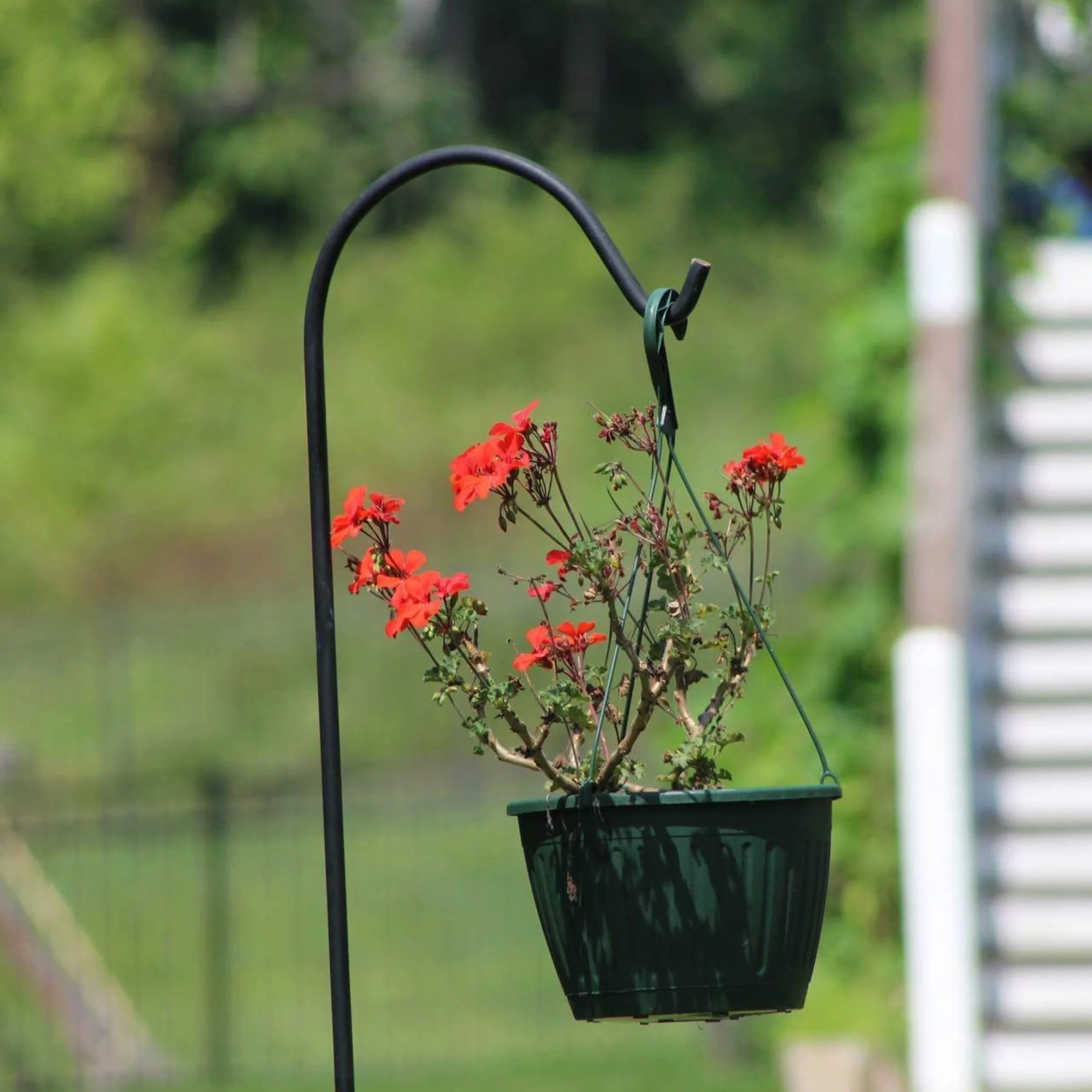 Ashman 92 Inch Shepherd's Hook Premium Metal Garden Plant Hanger, Black (3 Pack) - Image 6