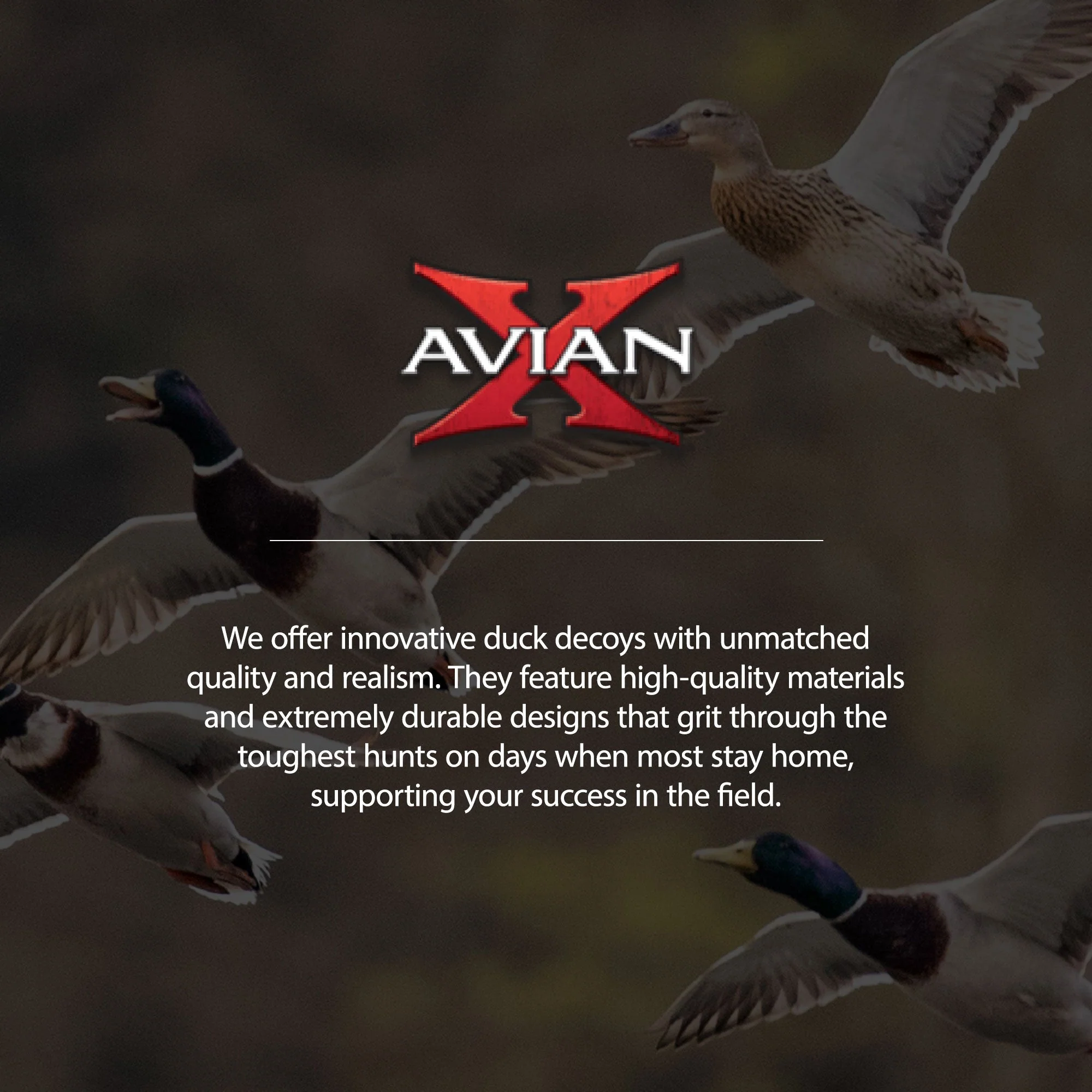Avian X AXP Specklebelly Decoy Fusion Pack with Lasting Finish and Bag, 6 Pack - Image 3