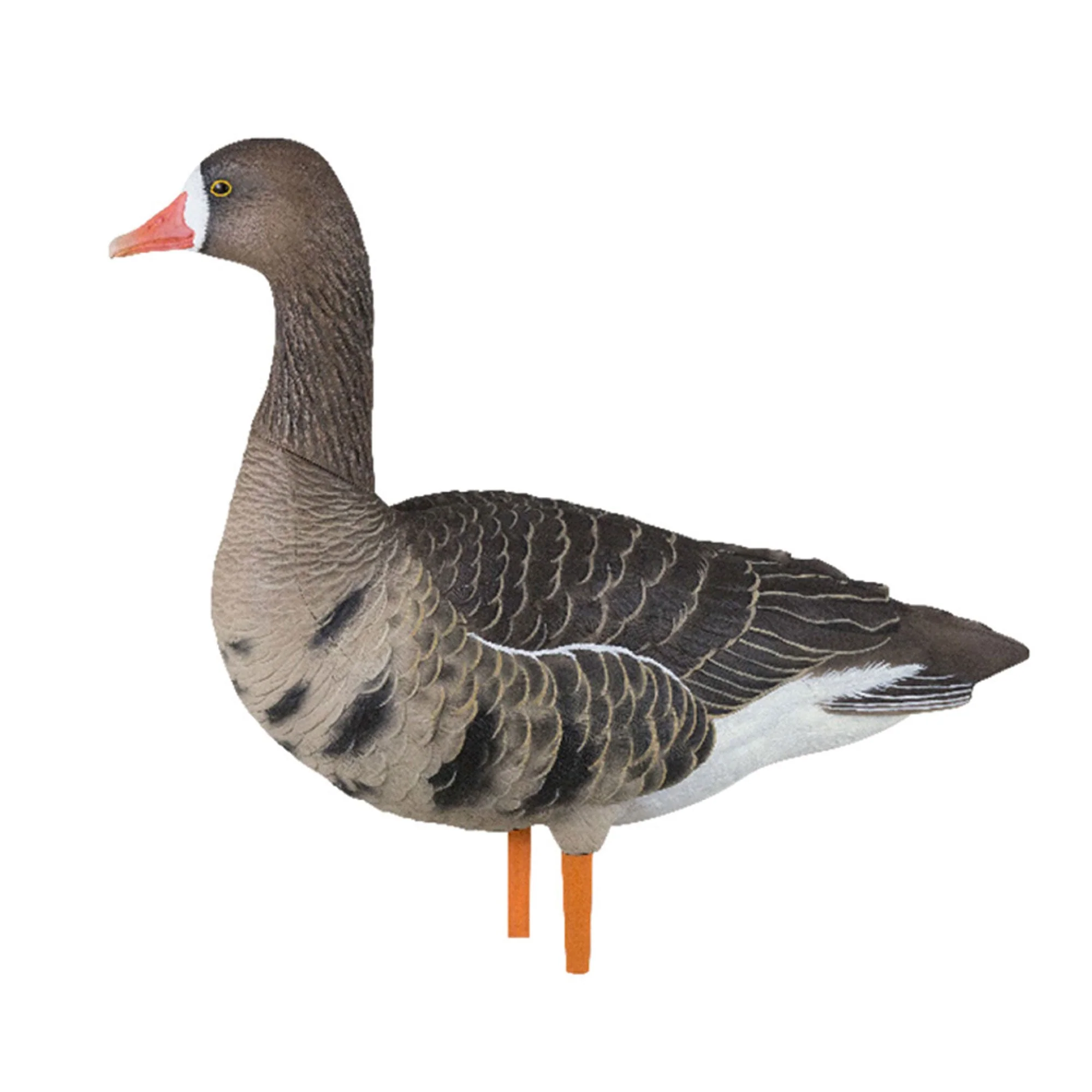Avian X AXP Specklebelly Decoy Fusion Pack with Lasting Finish and Bag, 6 Pack - Image 7