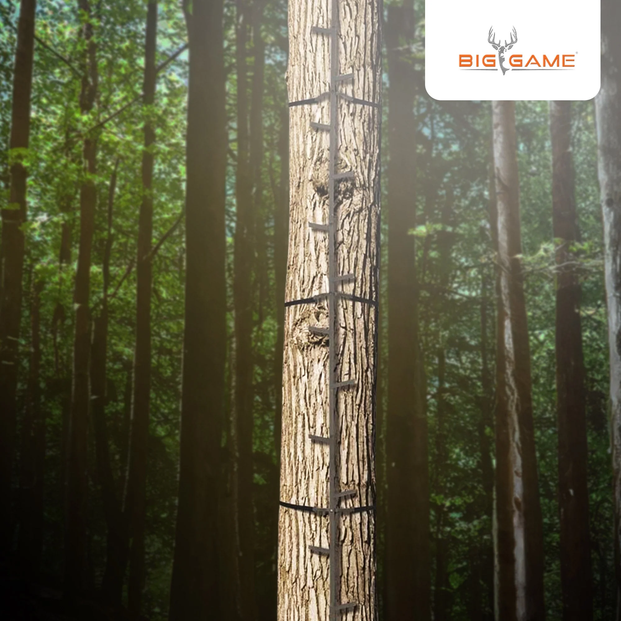 Big Game Quick Stick Climbing Sticks, Tree Climbing Hunting Gear for Deer Stands - Image 5
