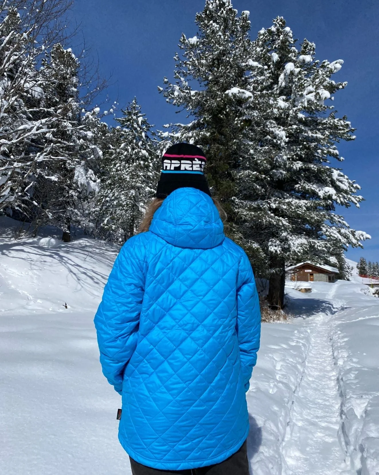Blue Glacier Thermolite® Insulated Jacket - Women's - Image 4