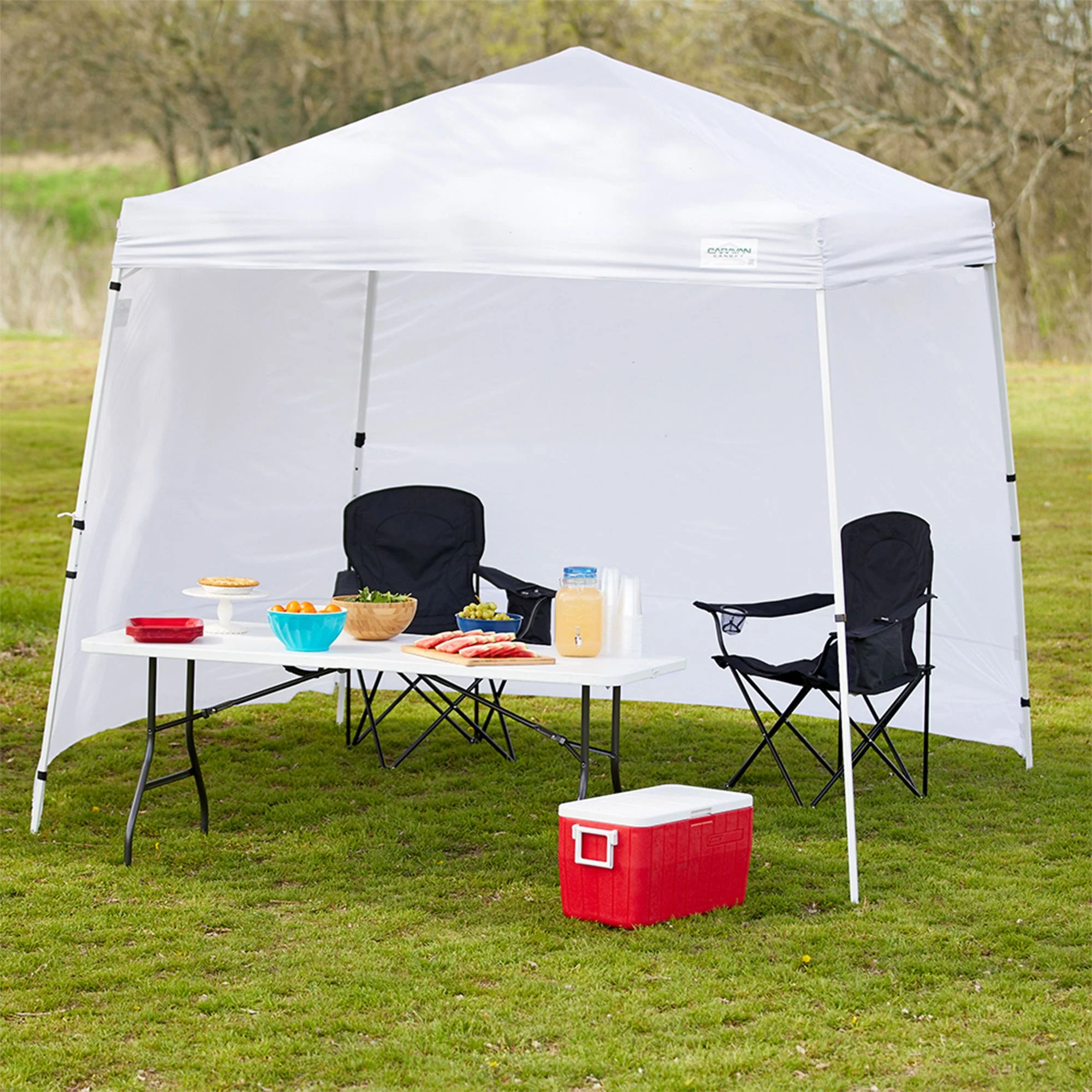 Caravan Canopy Straight Leg Instant Canopy and Sidewalls w/Set of 4 Weights - Image 5