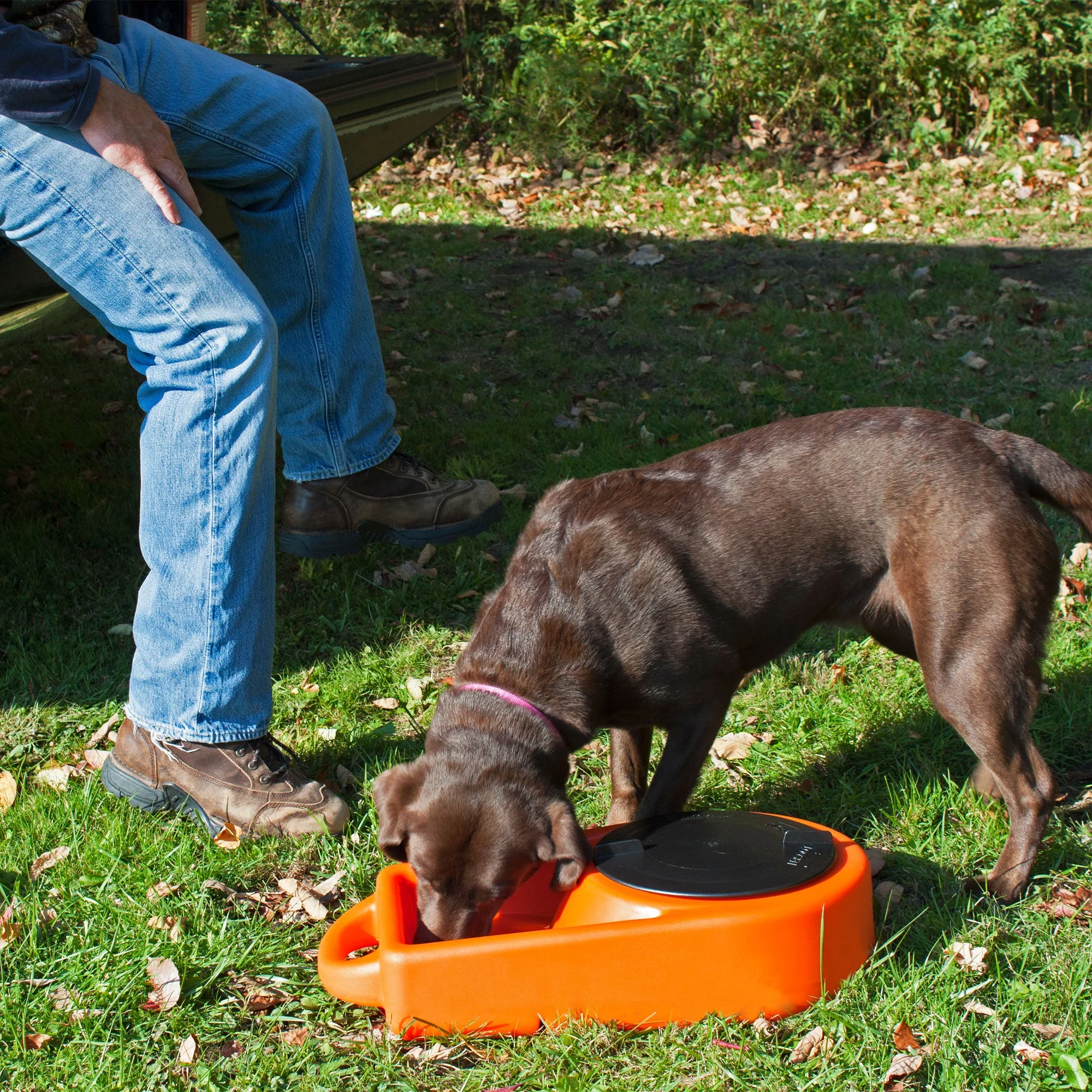 Dakota 283 Dine N Dash Large Pets Feeding and Watering System with Lid, Orange - Image 4