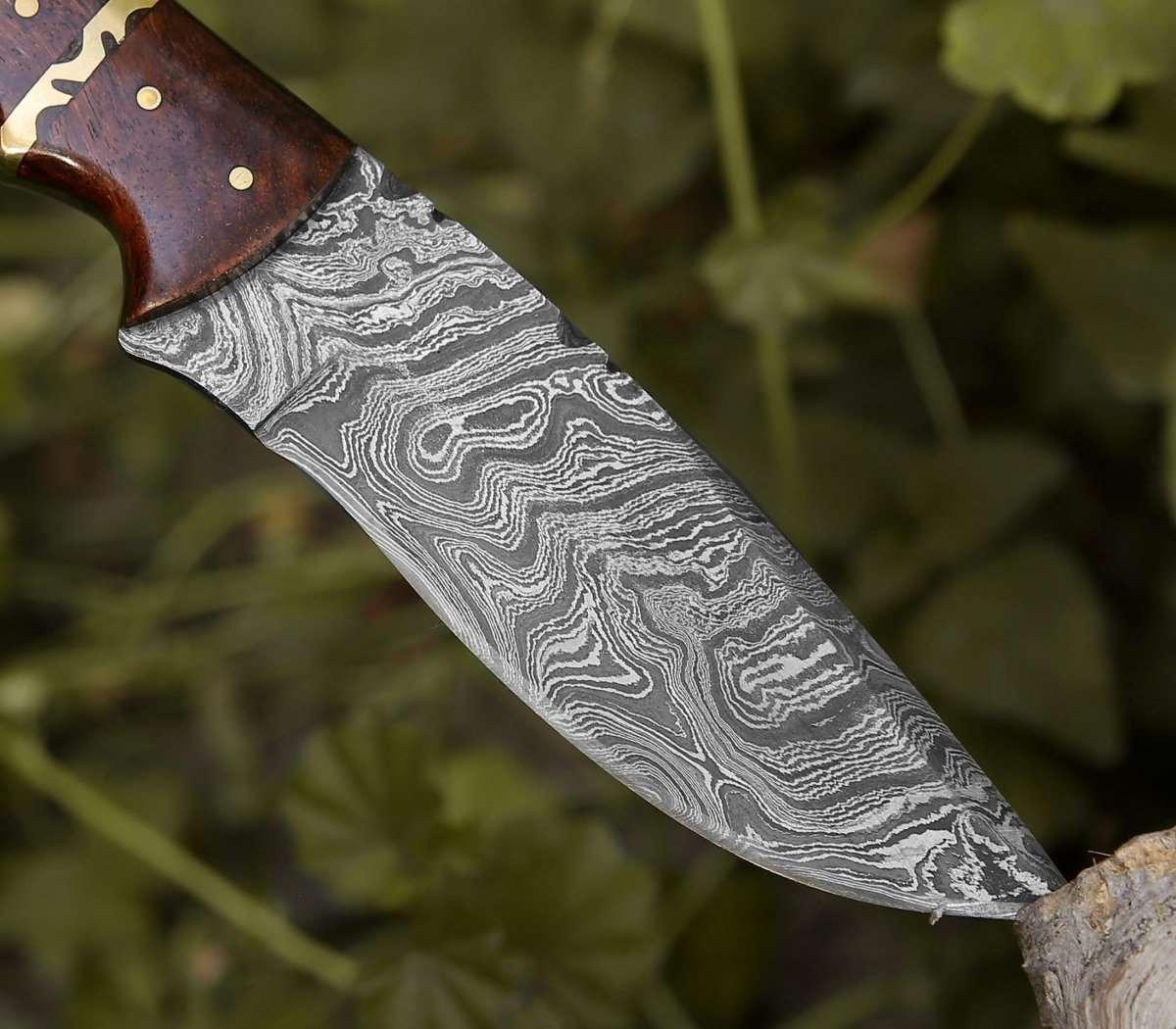 Fang Damascus Camp Knife with Rose Wood Handle - Image 5