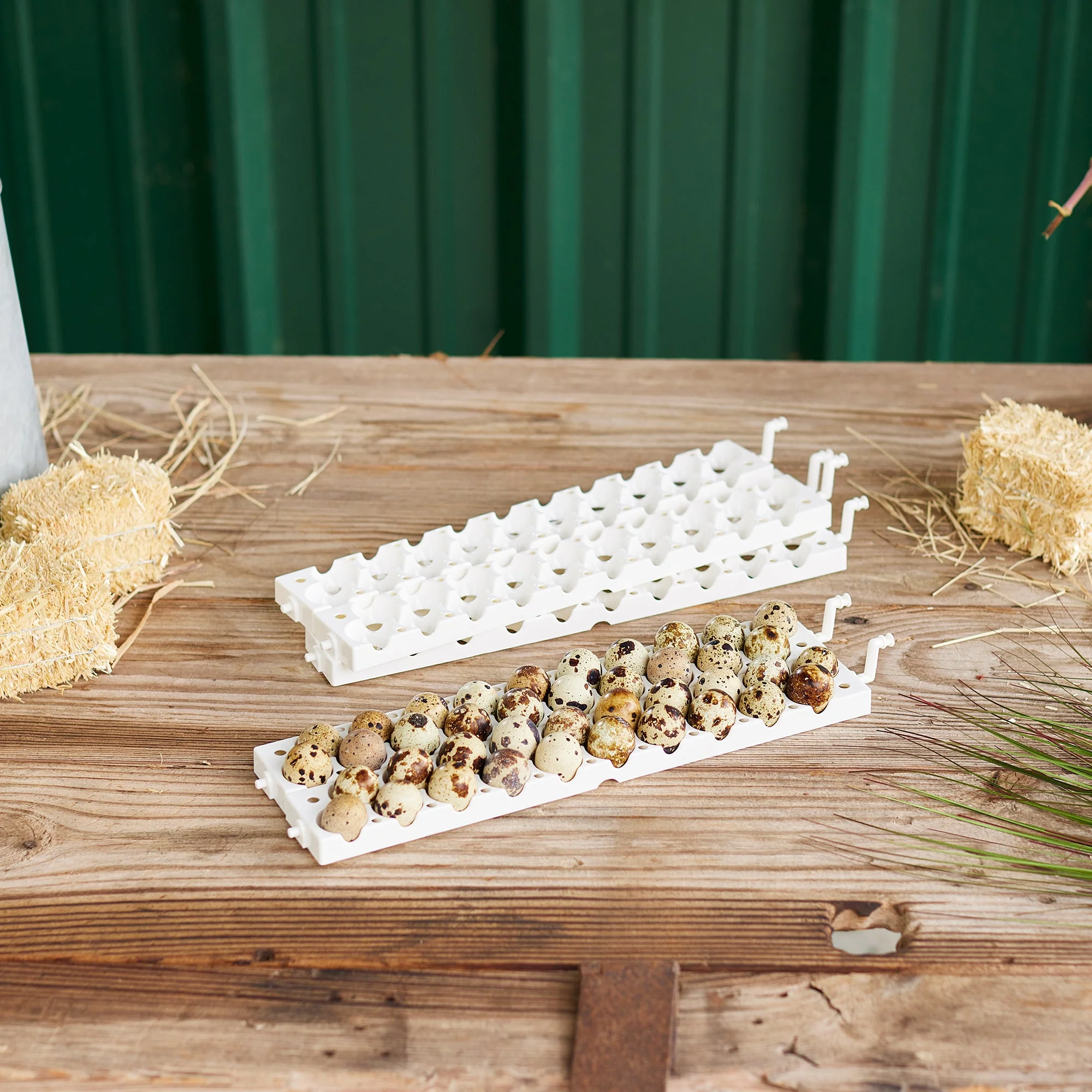 Farm Innovators 3400 Replacement Tray Rail for 120 Quail and Small Eggs (6 Pack) - Image 5