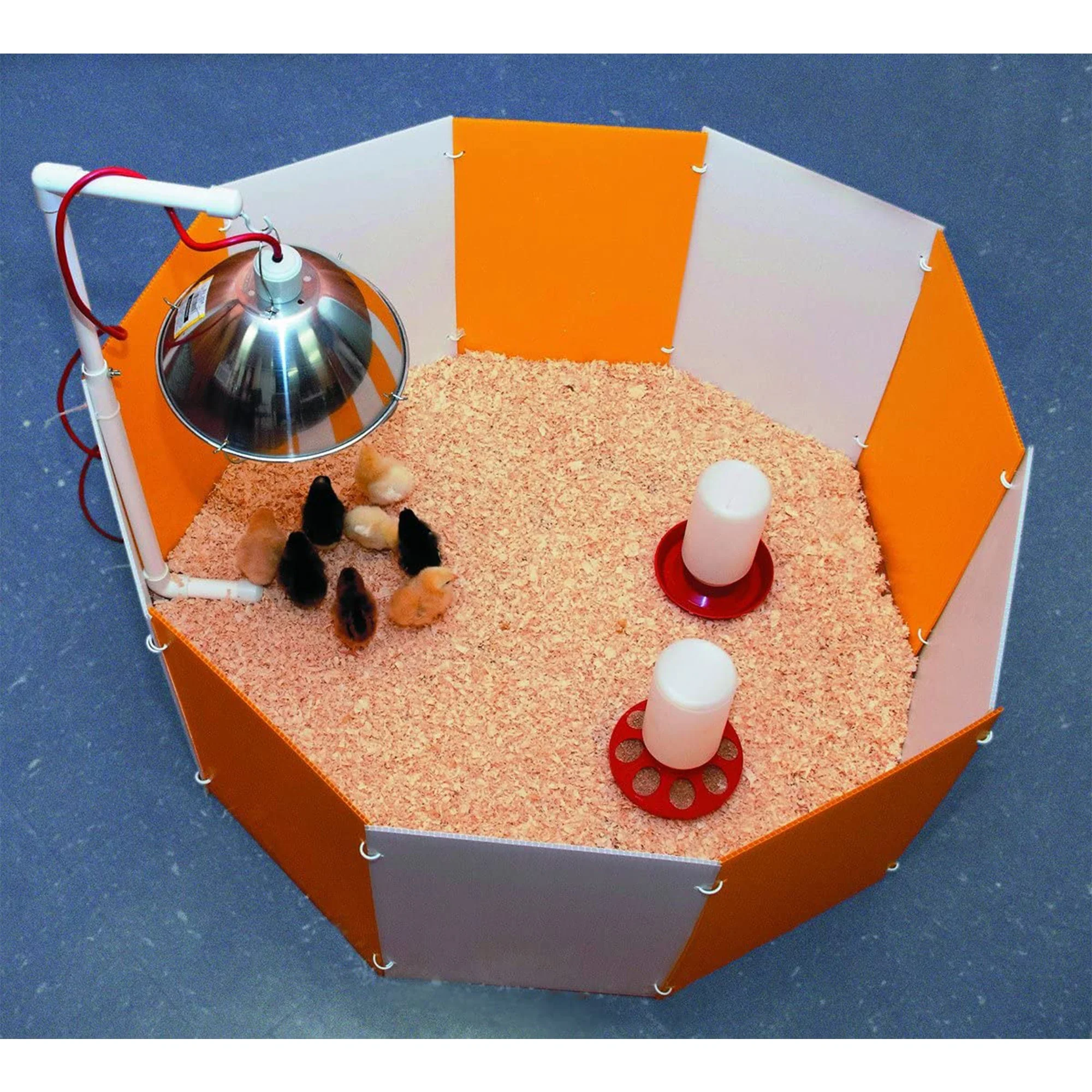 Farm Innovators 3700 Baby Chick Starter Home Kit with Adjustable Lamp Hanger - Image 6