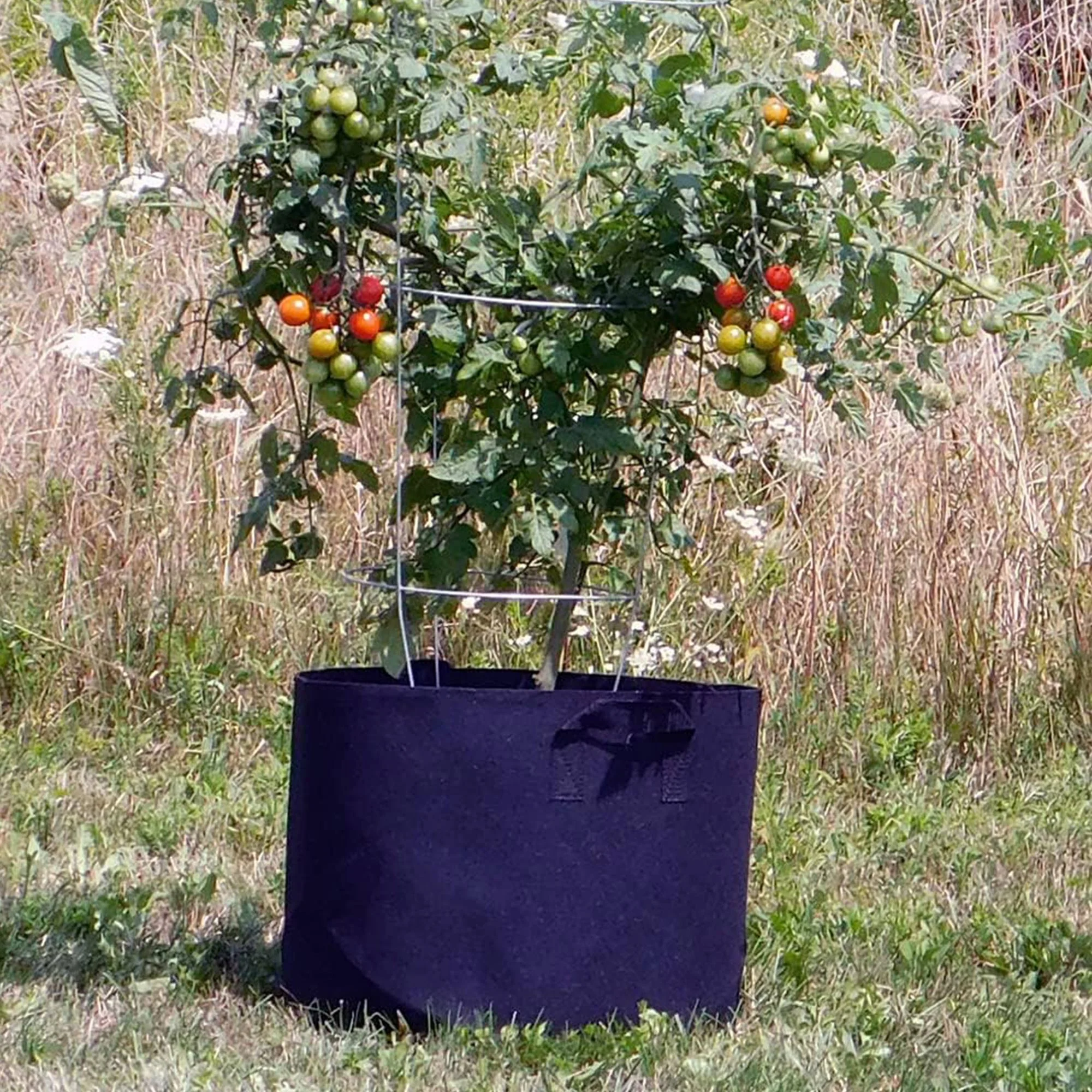 FCMP Outdoor 20 Gallon Modern Non Woven Breathable Grow Bags, Black (5 Pack) - Image 6