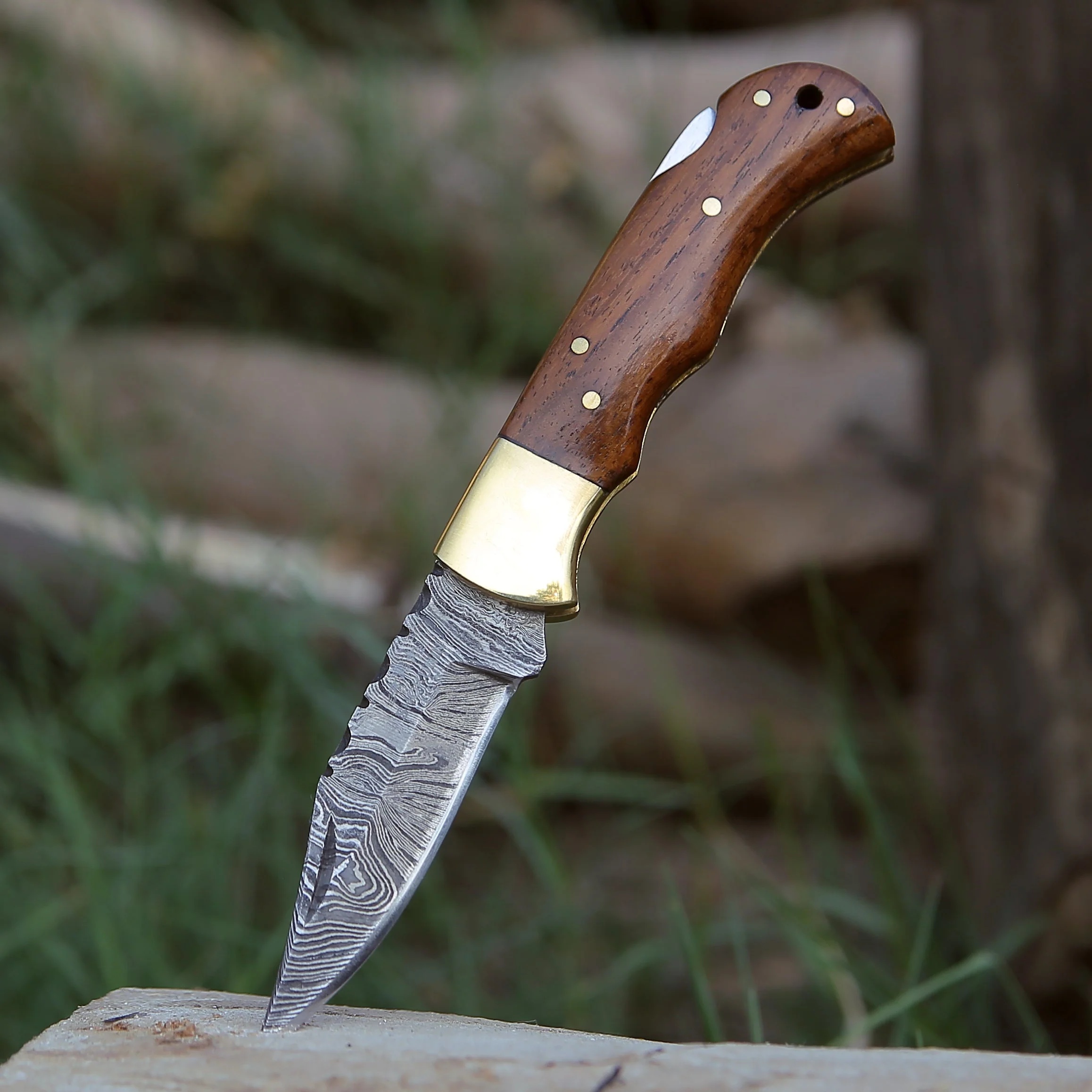 Jaguar Pocket Knife with Exotic Rosewood Handle - Image 3