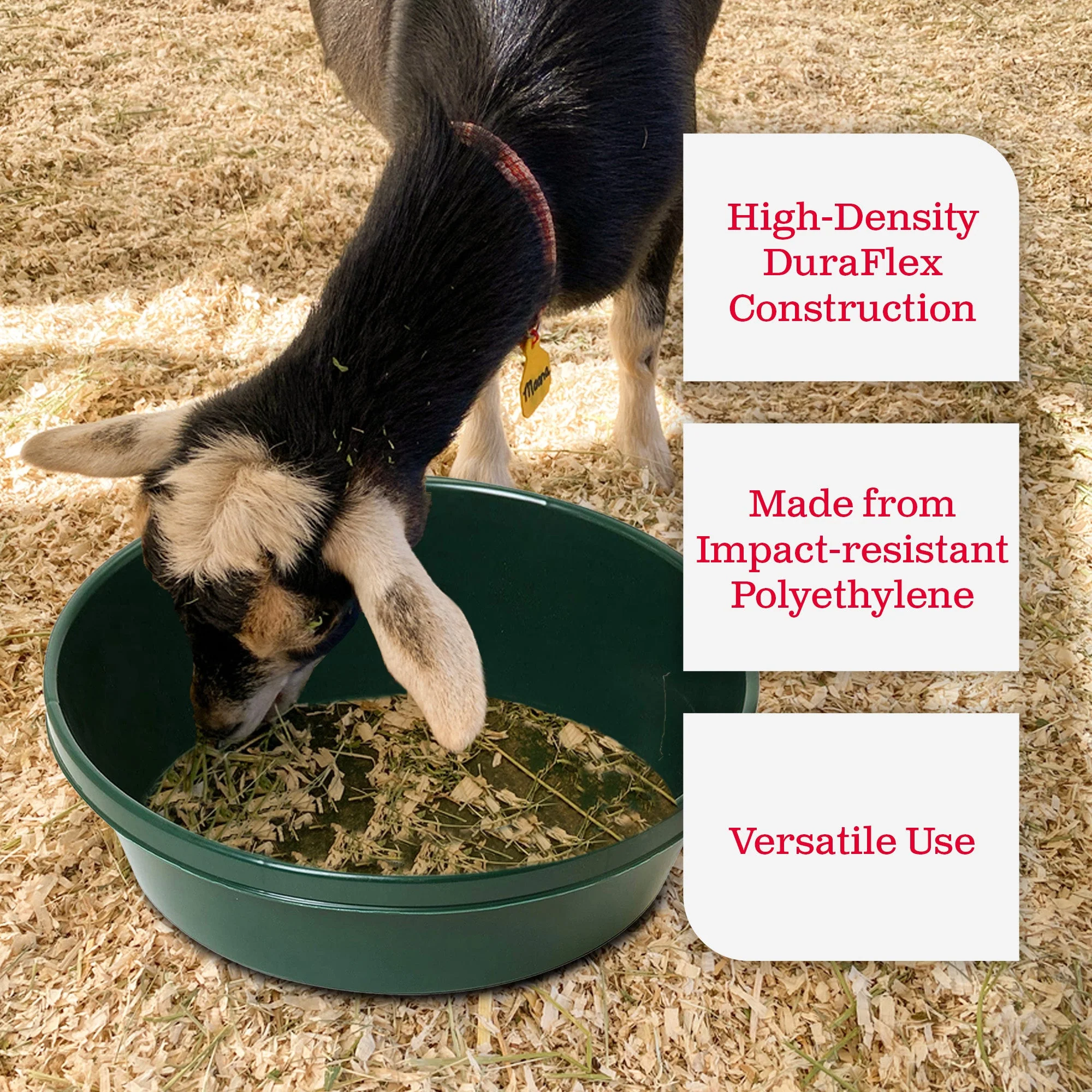 Little Giant 3 Gal Durable Flat Farm Livestock Feed Utility Pan, Green (12 Pack) - Image 4
