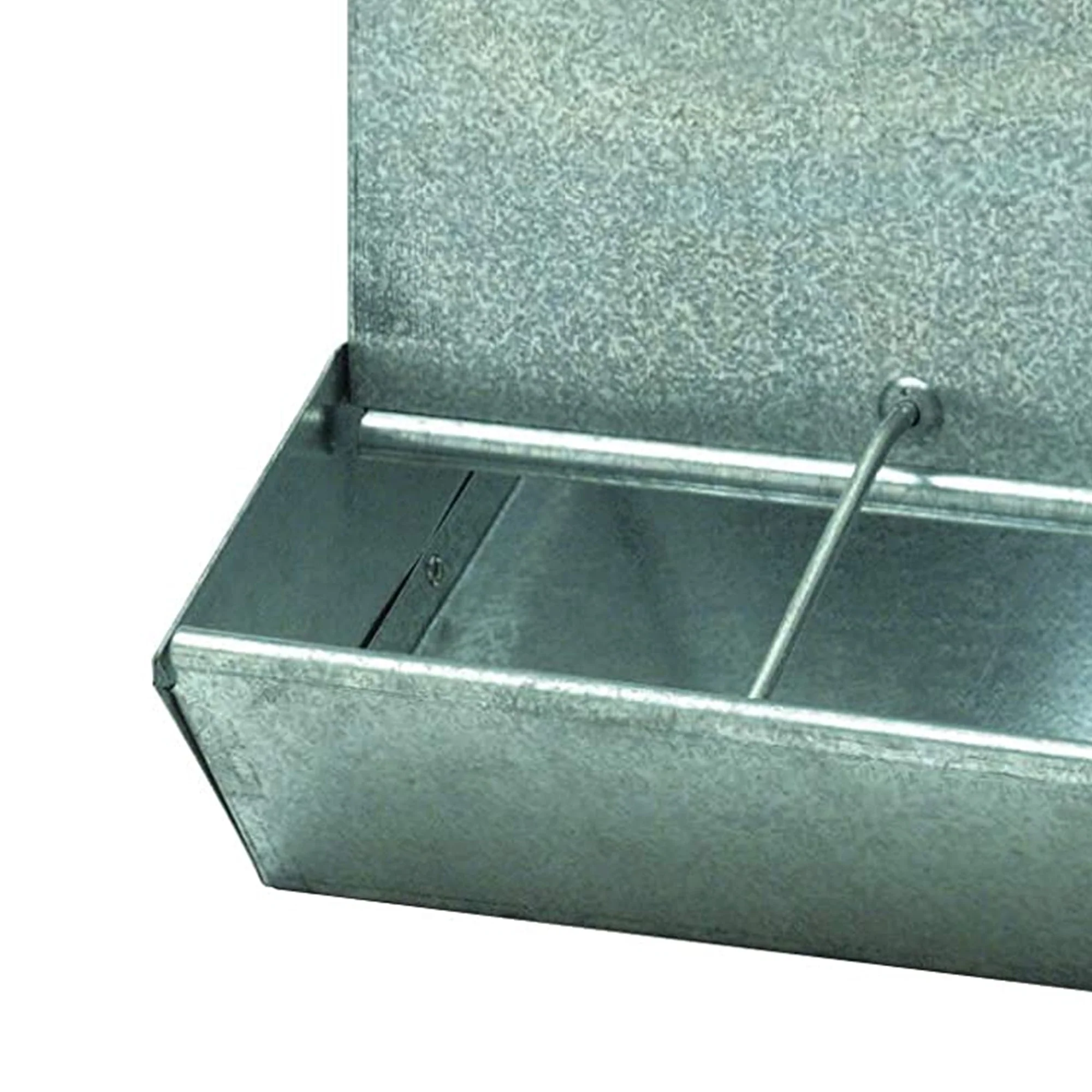 Little Giant BPF3 Mountable 3 Hole Baby Piglet Trough Feeder, 9 Pound Capacity - Image 2