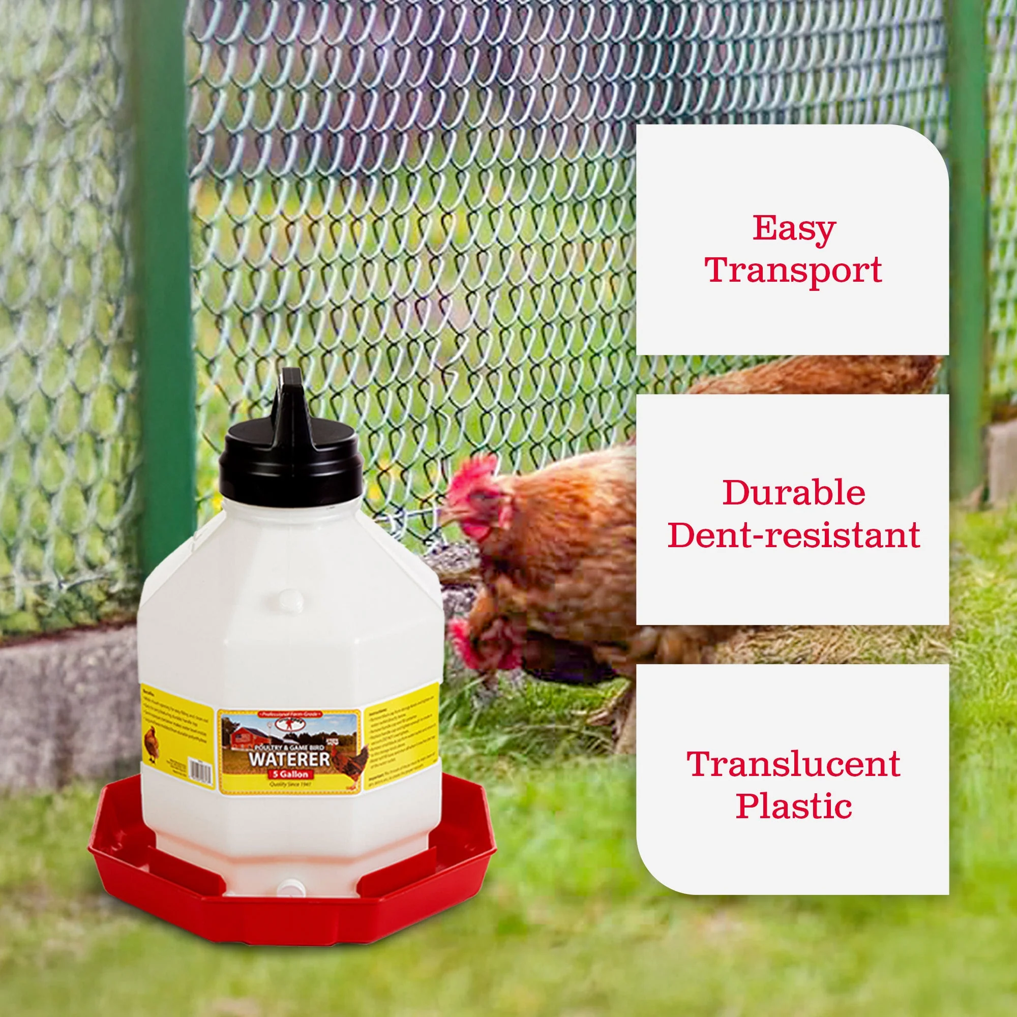 Little Giant PPF5 5 Gallon Capacity Automatic Poultry Waterer for Chickens, Red - Image 3