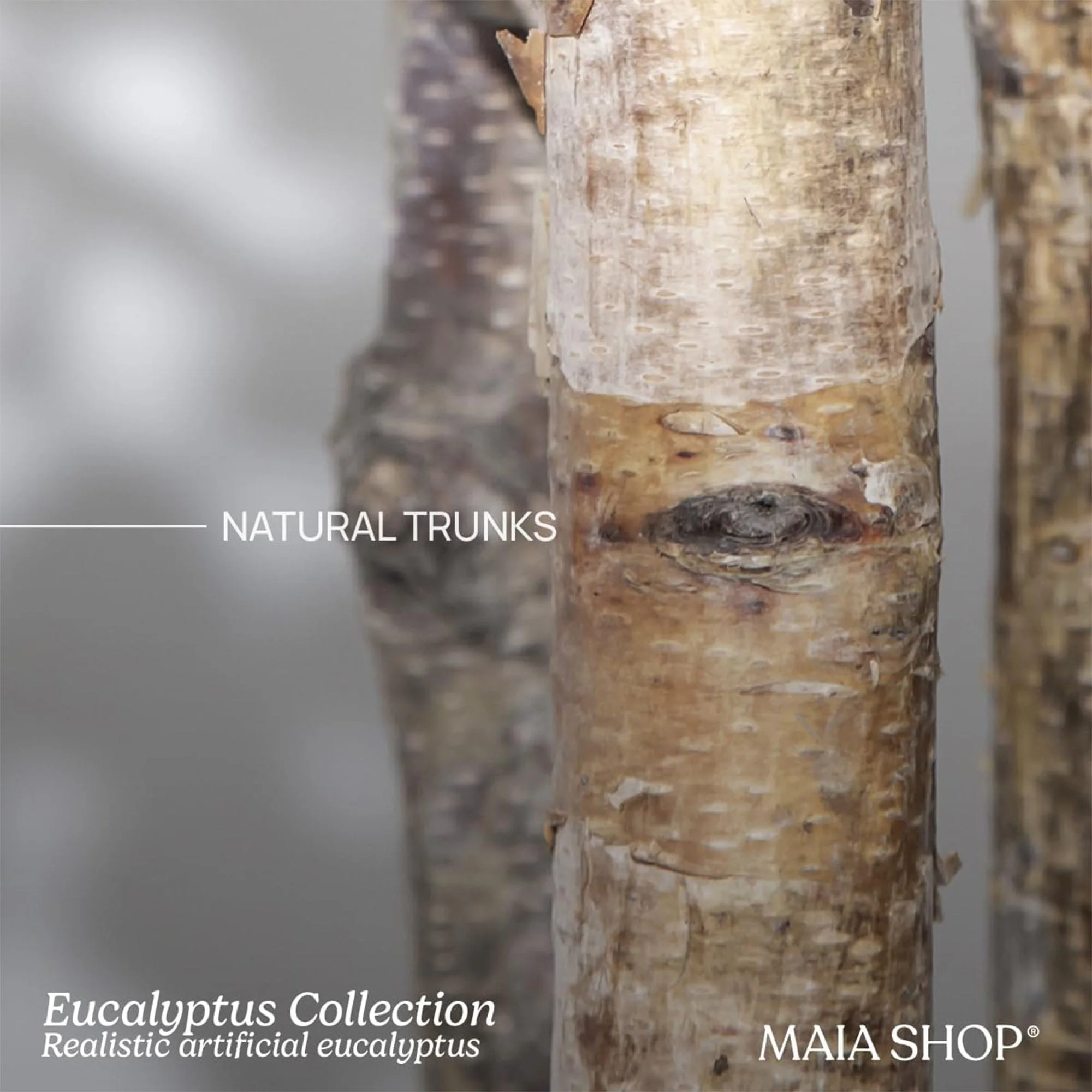 Maia Shop Artificial Eucalyptus Tree 5' Tall, Fake Tree with Natural Wood Trunk - Image 3