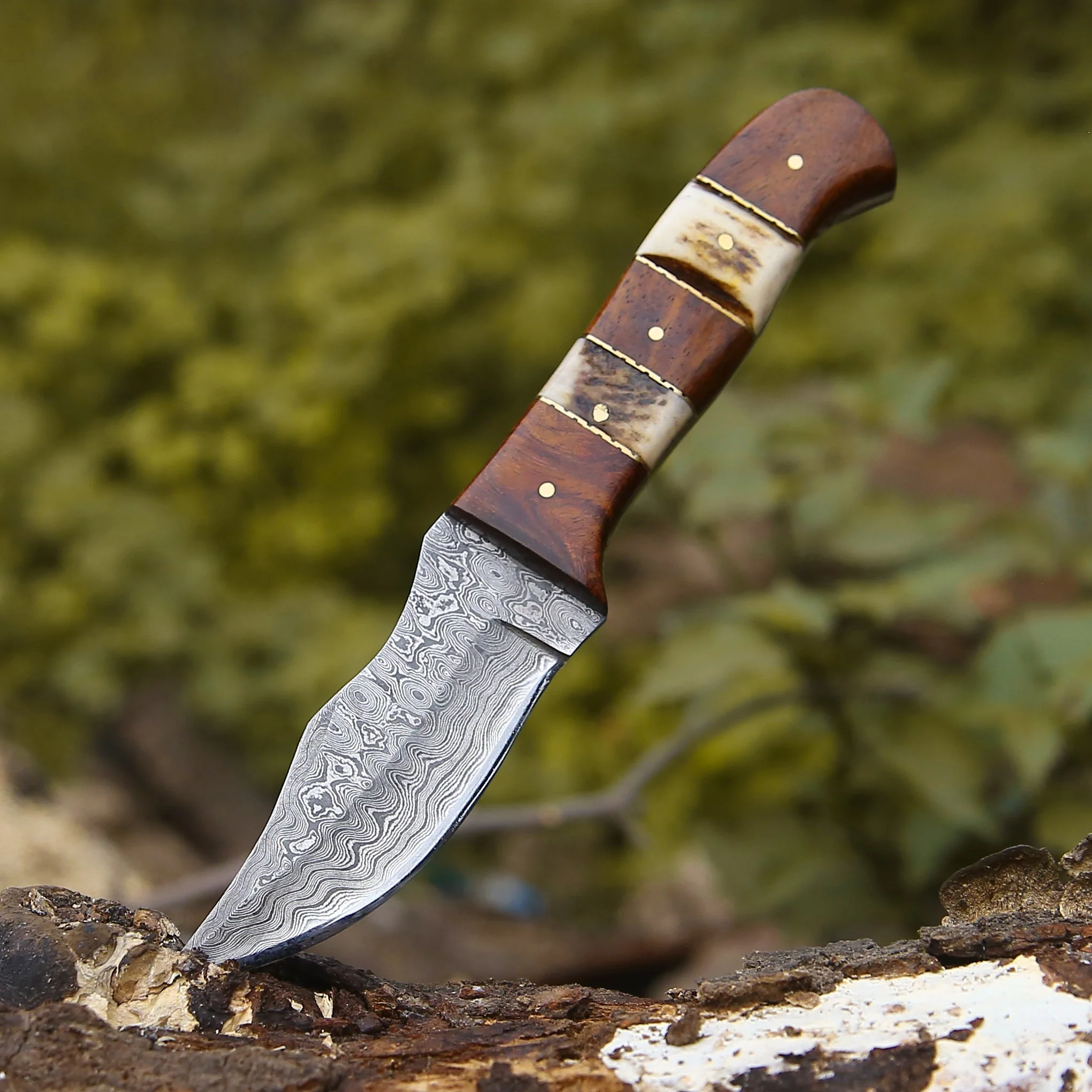 Mangler Damascus Hunting Knife with Rosewood & Stag Horn Handle - Image 3
