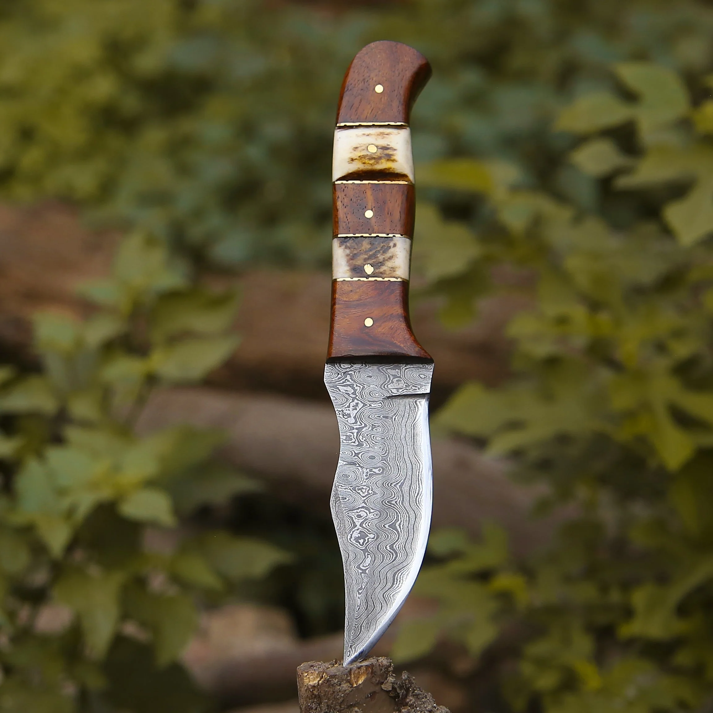 Mangler Damascus Hunting Knife with Rosewood & Stag Horn Handle - Image 6