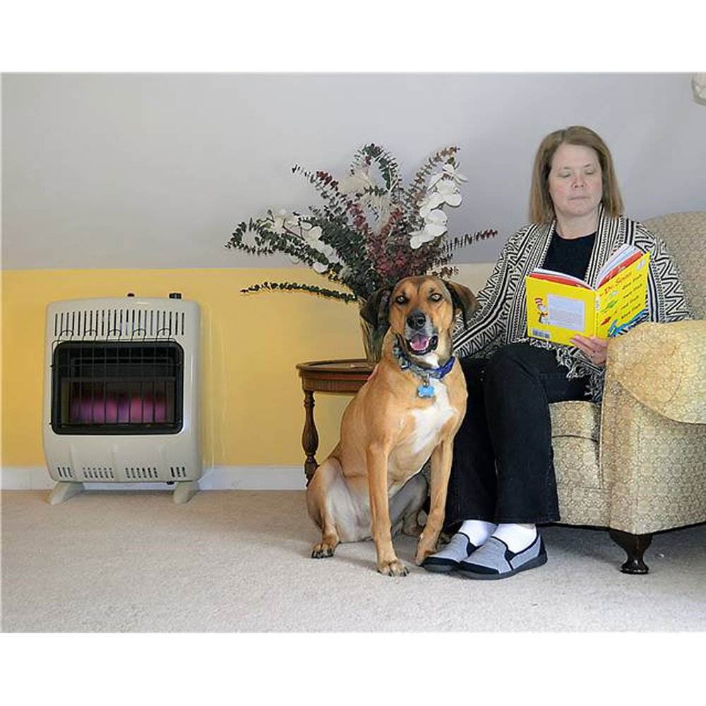 Mr Heater 20000 BTU Vent Free Blue Flame Natural Gas Indoor Outdoor Space Heater - Image 4