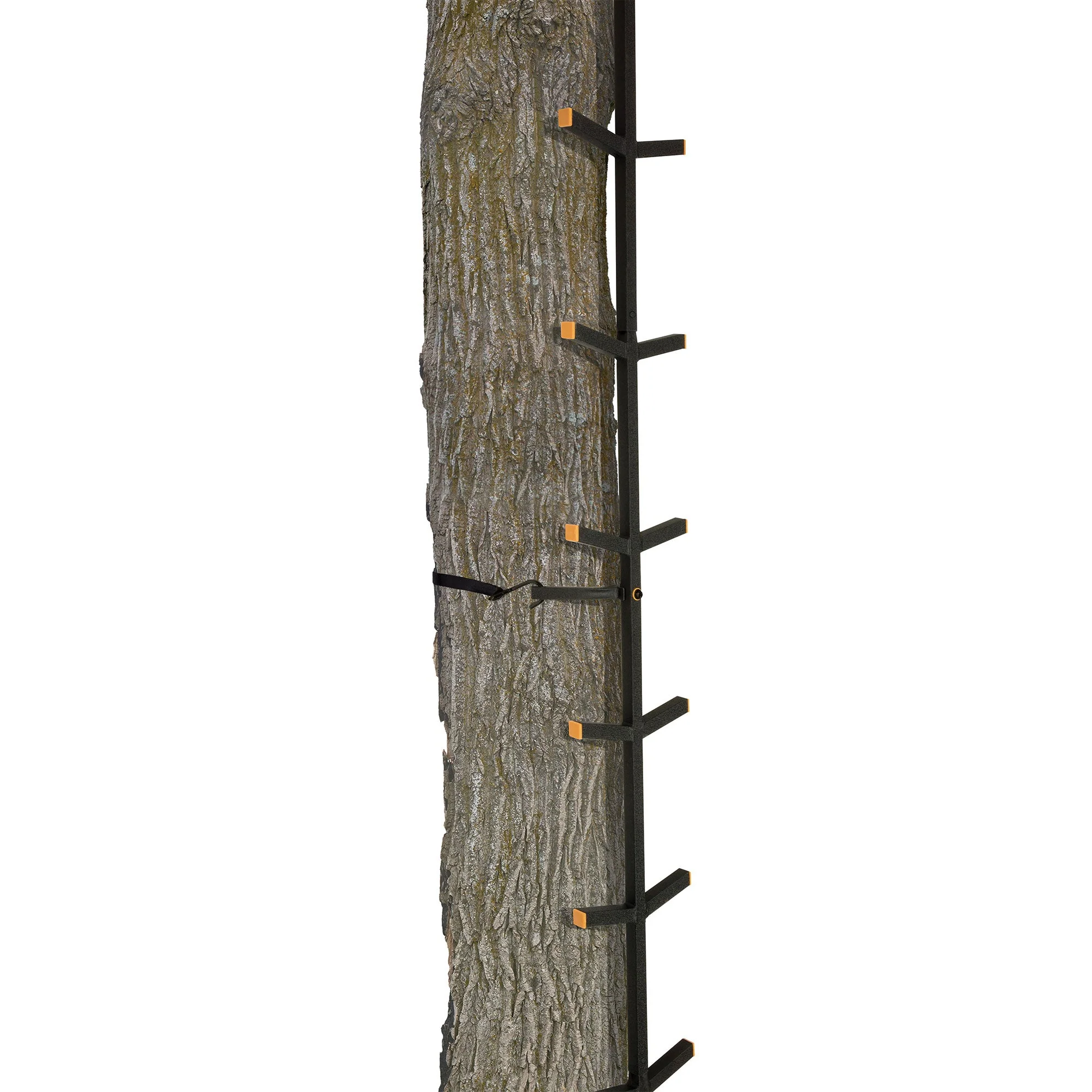 Muddy Quick Stick XL, Climbing Stick Tree Climbing Gear for Deer Stands & Blinds - Image 8
