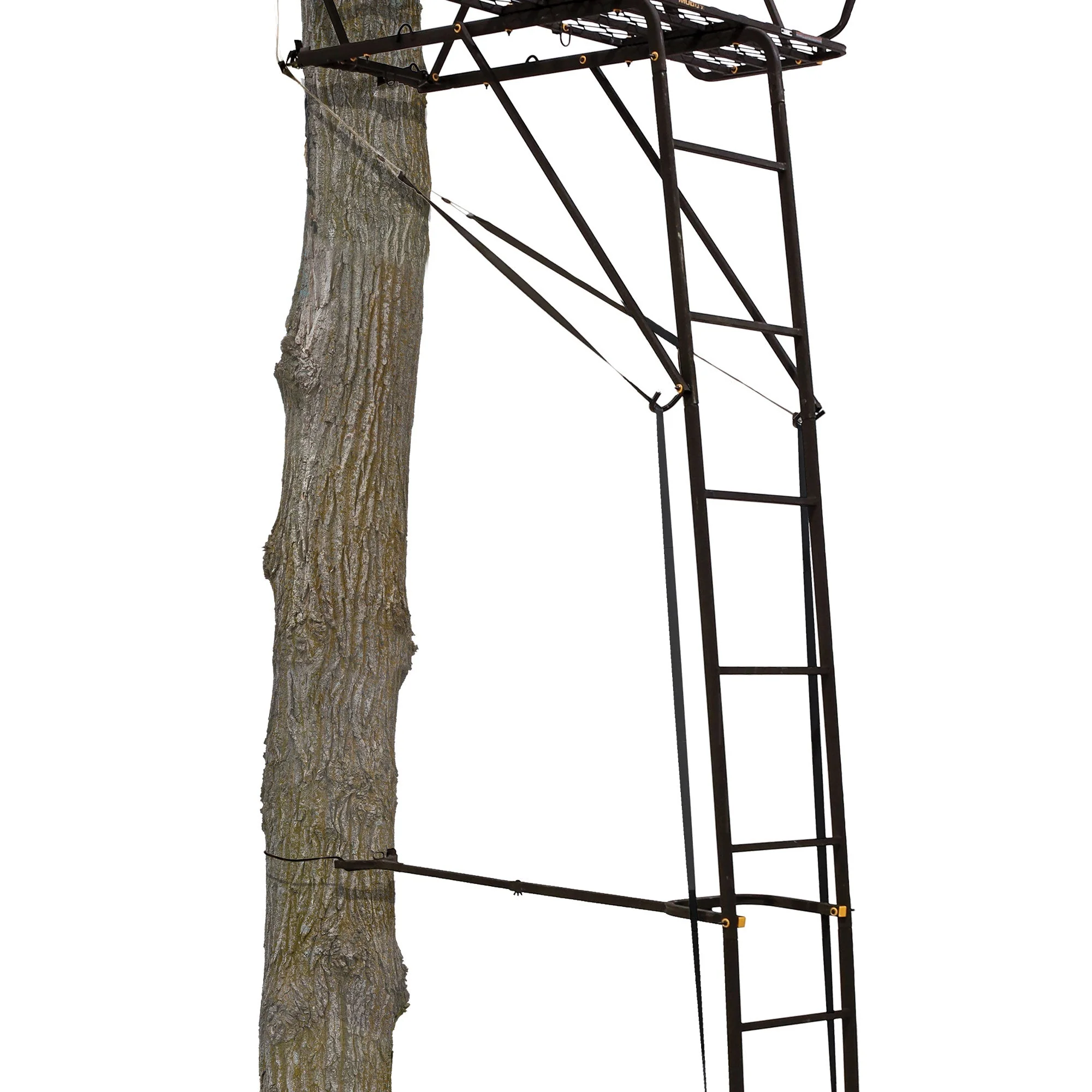 Muddy Stronghold 2.5 Deer Hunting 18 Foot Ladderstand Tree Stand w/Hercules Grip - Image 7