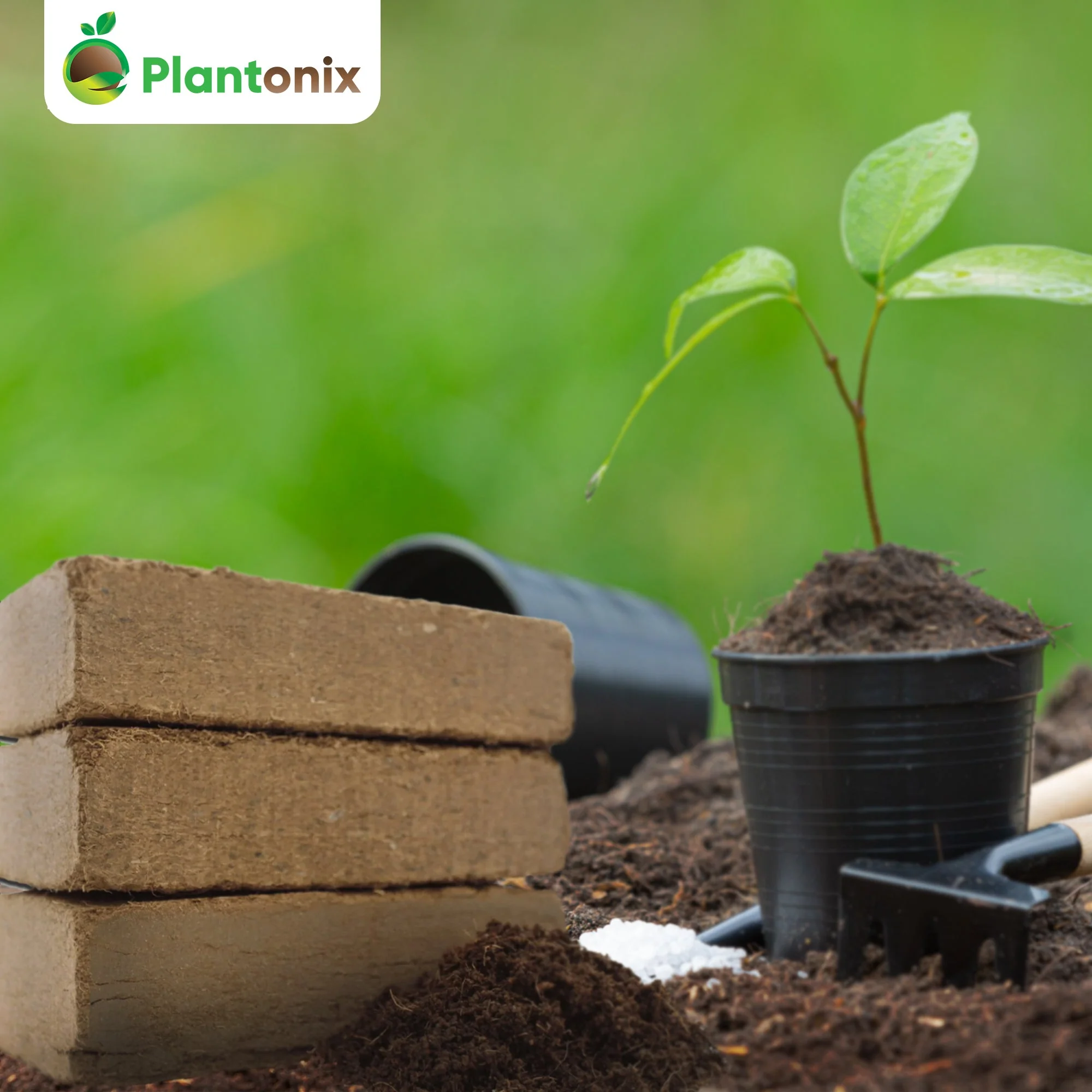 Plantonix Coco Bliss Premium Organic Coconut Coir Pith, 650GM Bricks (50 Pack) - Image 6