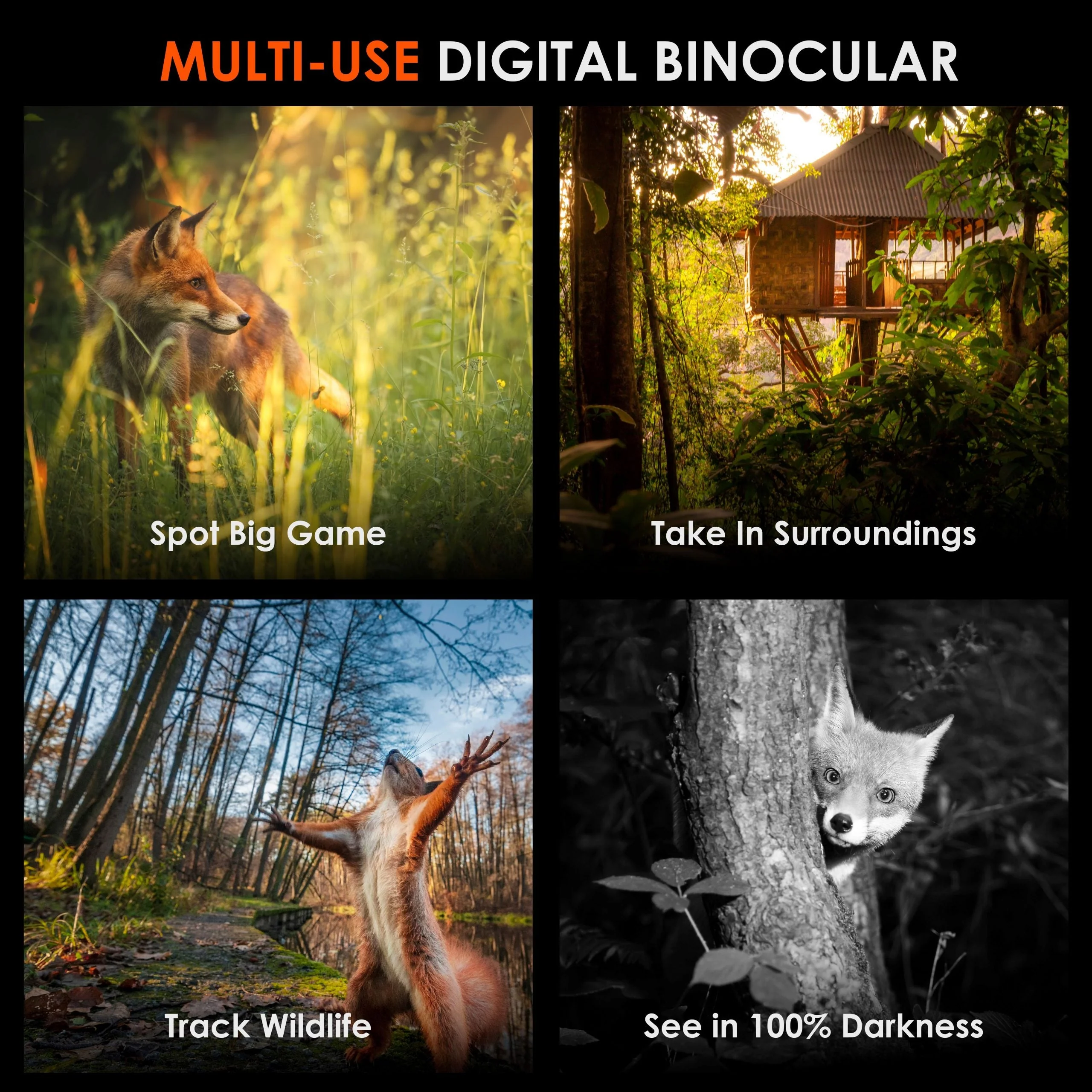 Rexing B1 Pro – 4K IR Night Vision Digital Binocular - Image 3