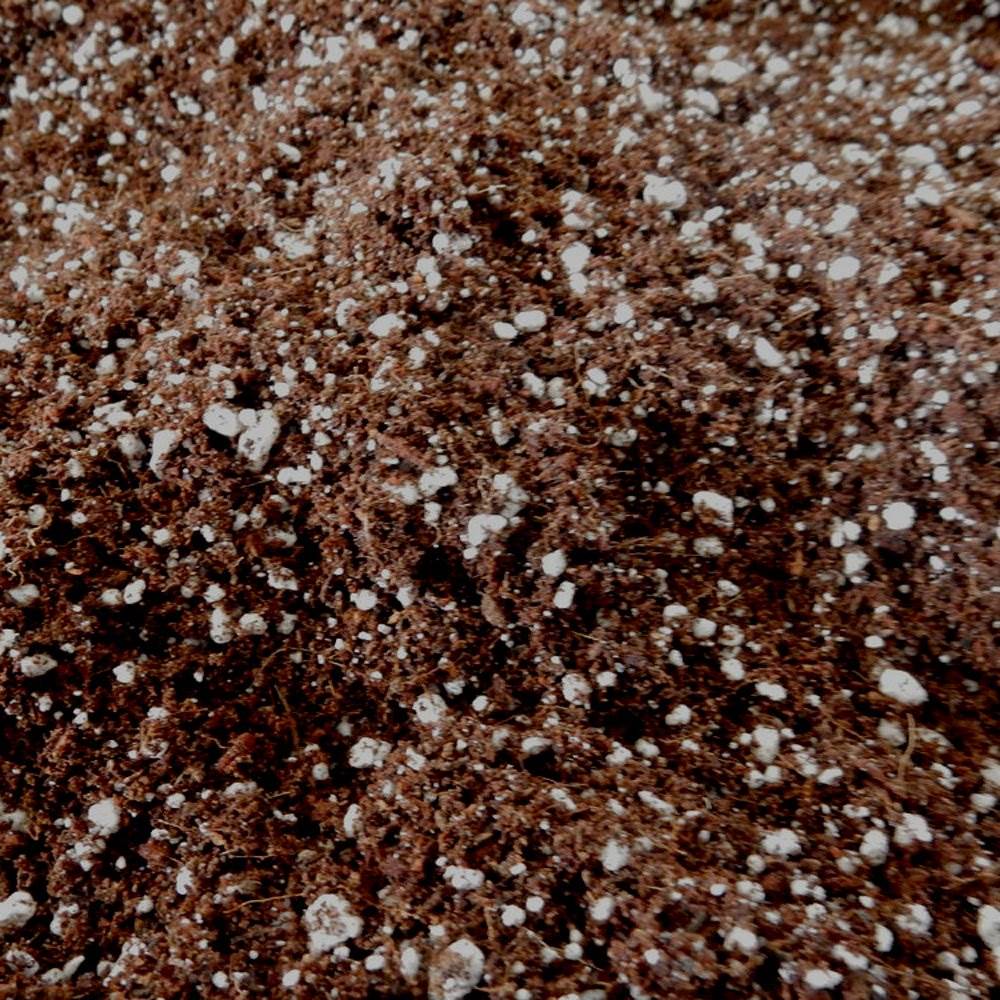 Roots Organics ROGF Green Fields Hydroponic Gardening Potting Soil, 1.5 Cu Ft - Image 5