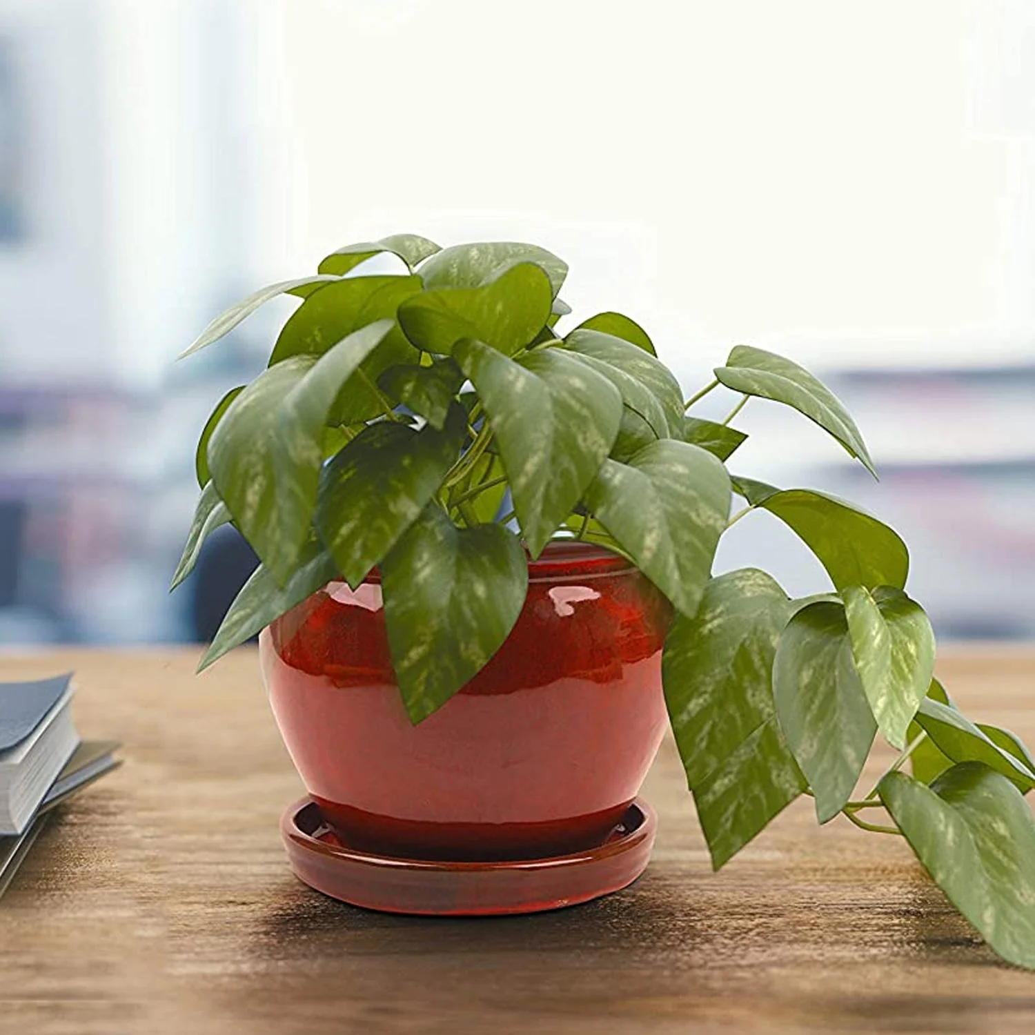 Southern Patio Wisteria 12 Inch Diameter Ceramic Planter Pot with Saucer, Red - Image 2