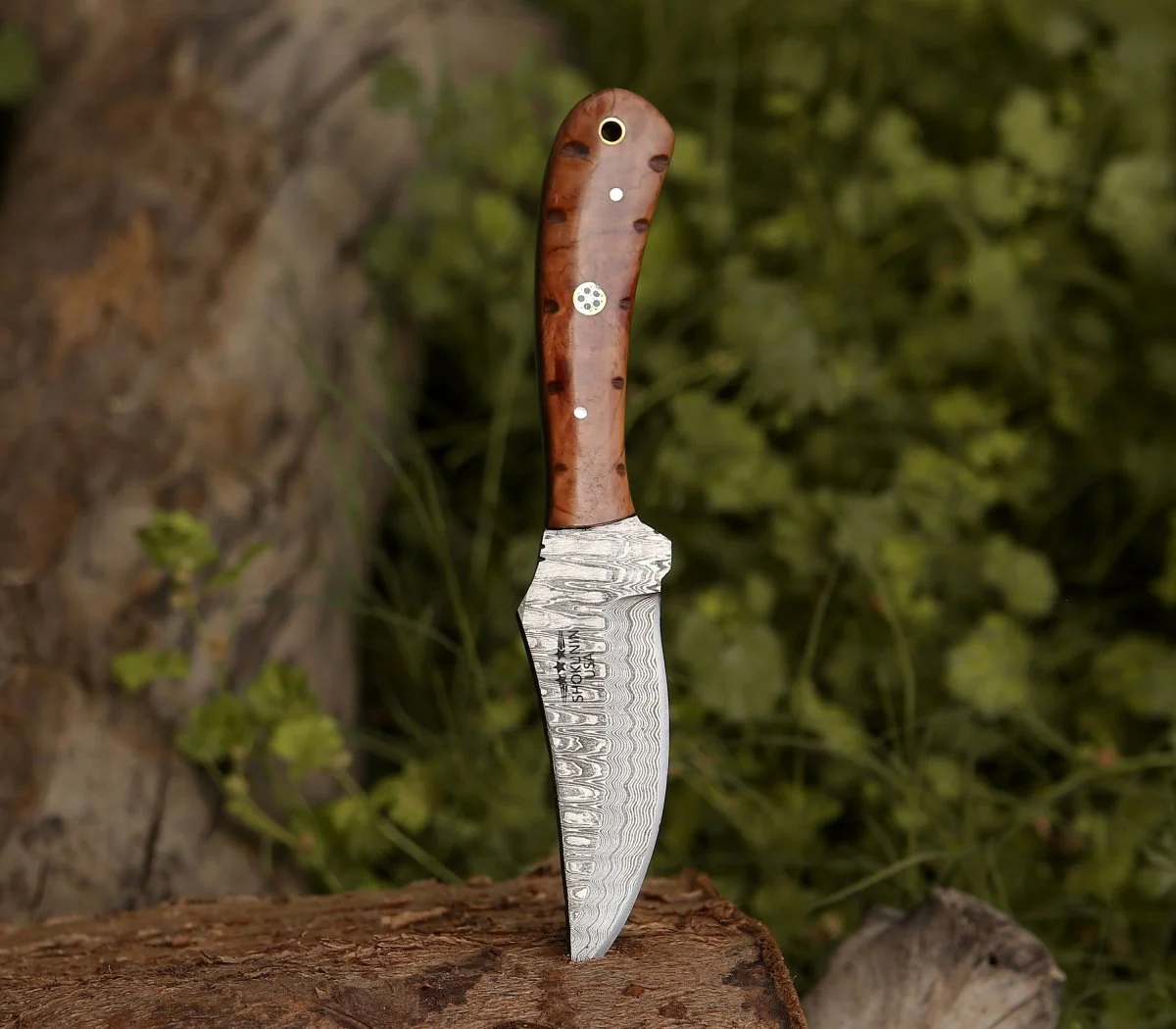 Spectral Field Dressing Knife with Olive Wood Handle - Image 5