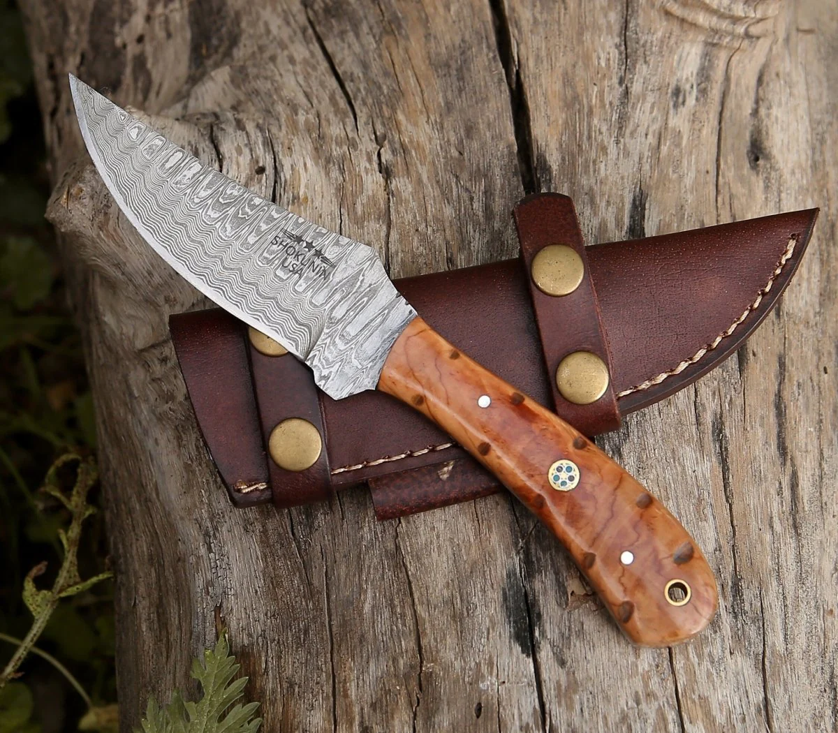 Spectral Field Dressing Knife with Olive Wood Handle - Image 6