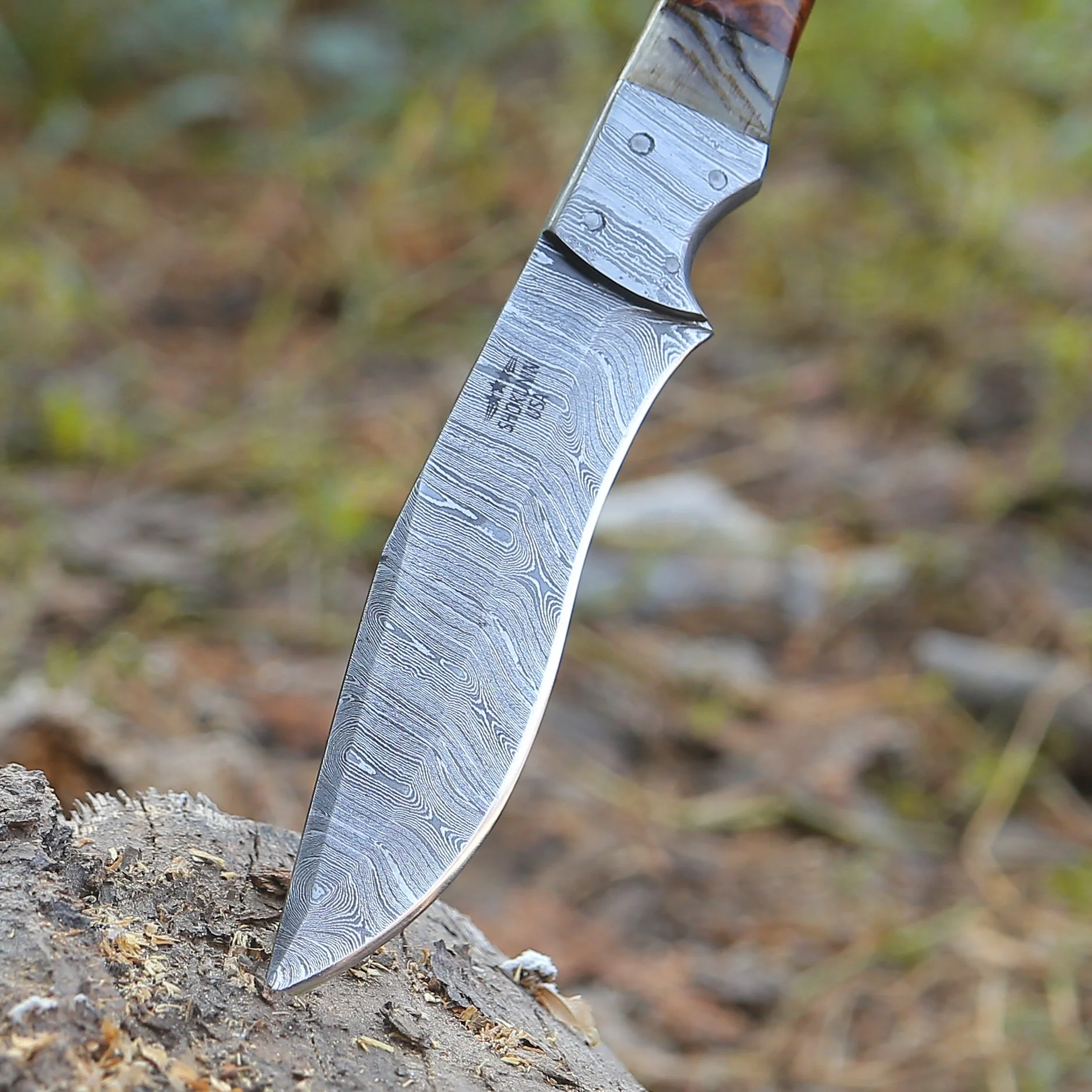 Stinger Custom Hunting Knife – Horn & Rosewood Handle - Image 2