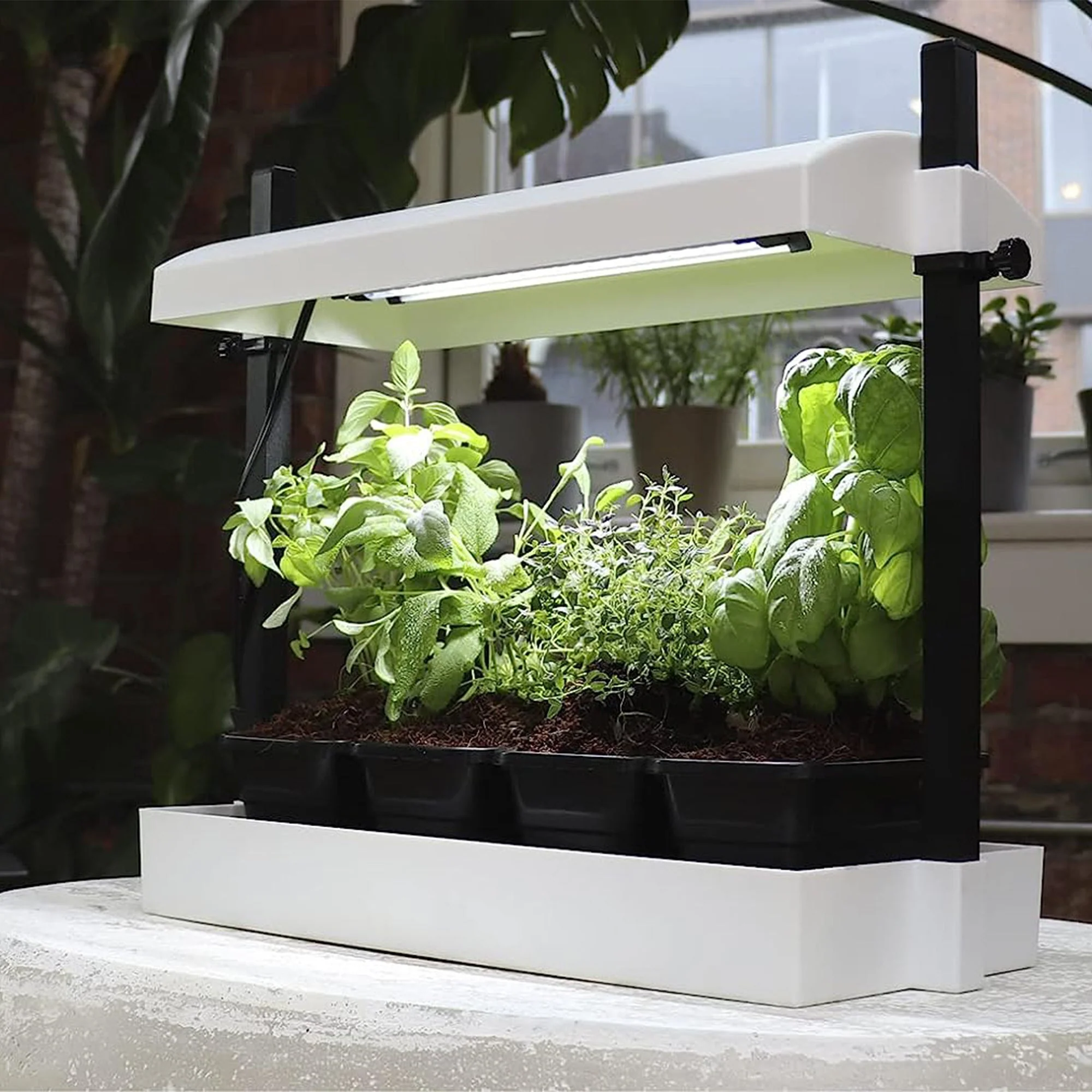 SunBlaster SL1600199 T5HO Micro T5 Grow Light Garden for Seed Starting, White - Image 9