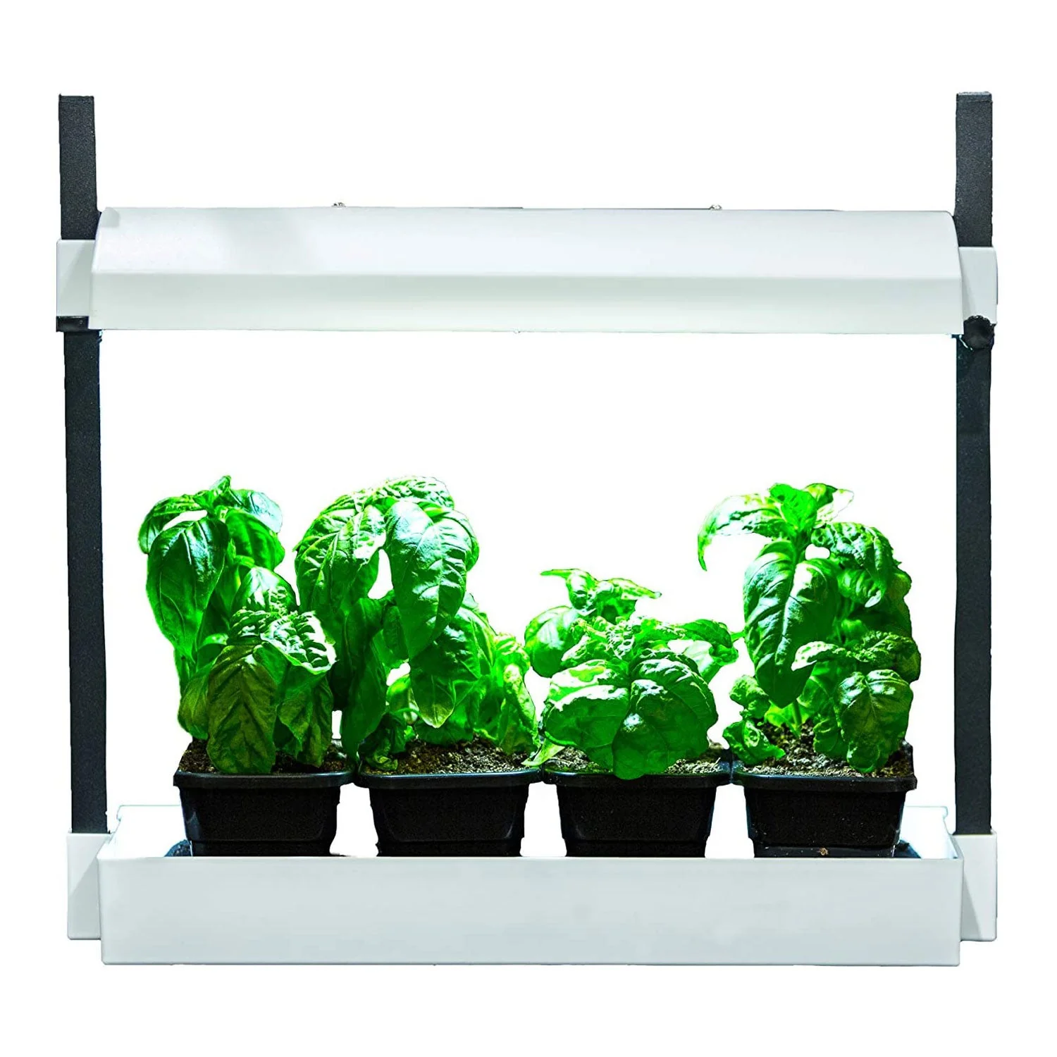 SunBlaster SL1600219 Growlight Micro Sized Complete LED Powered Garden, White - Image 4