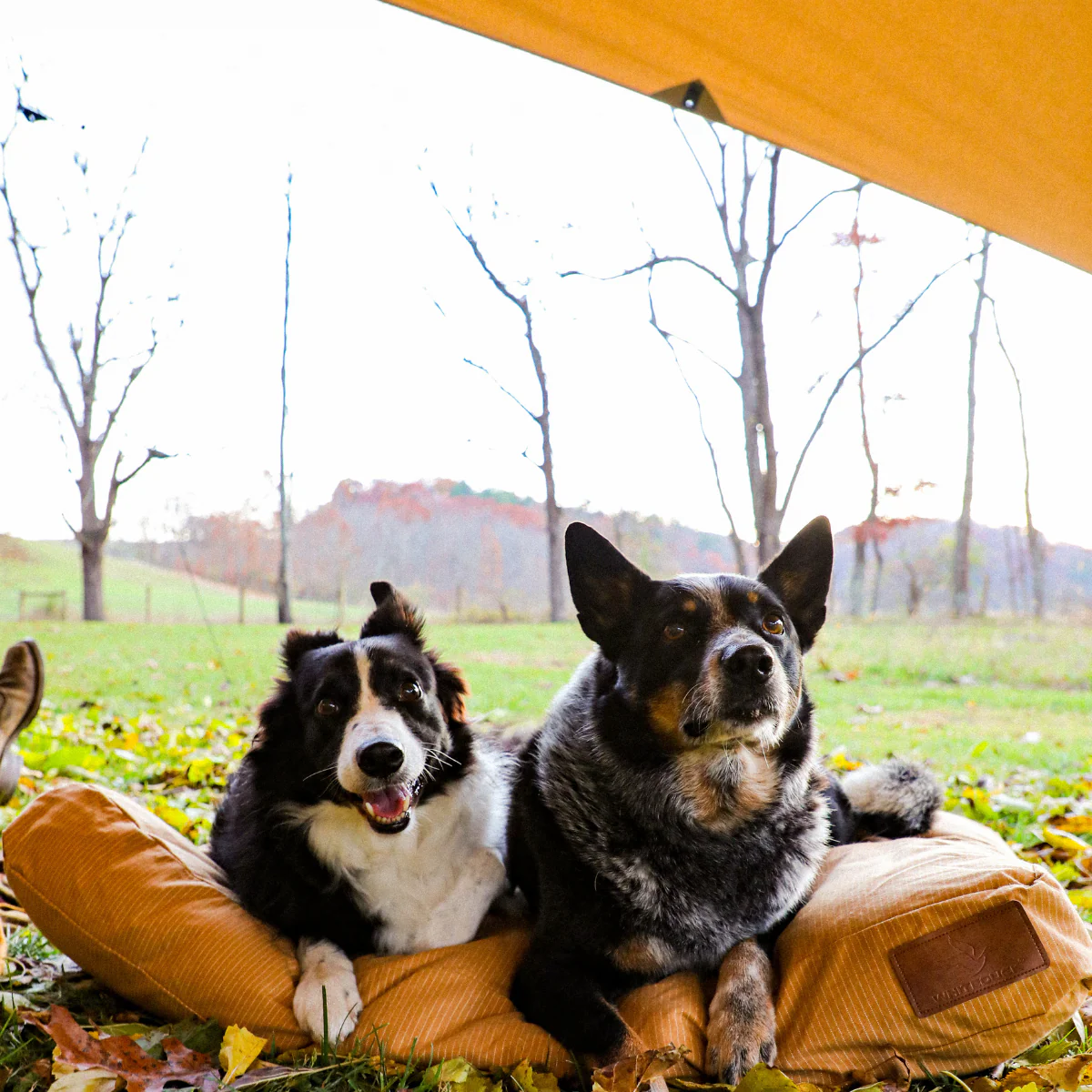 Sunshade Tarp 400 - Image 10