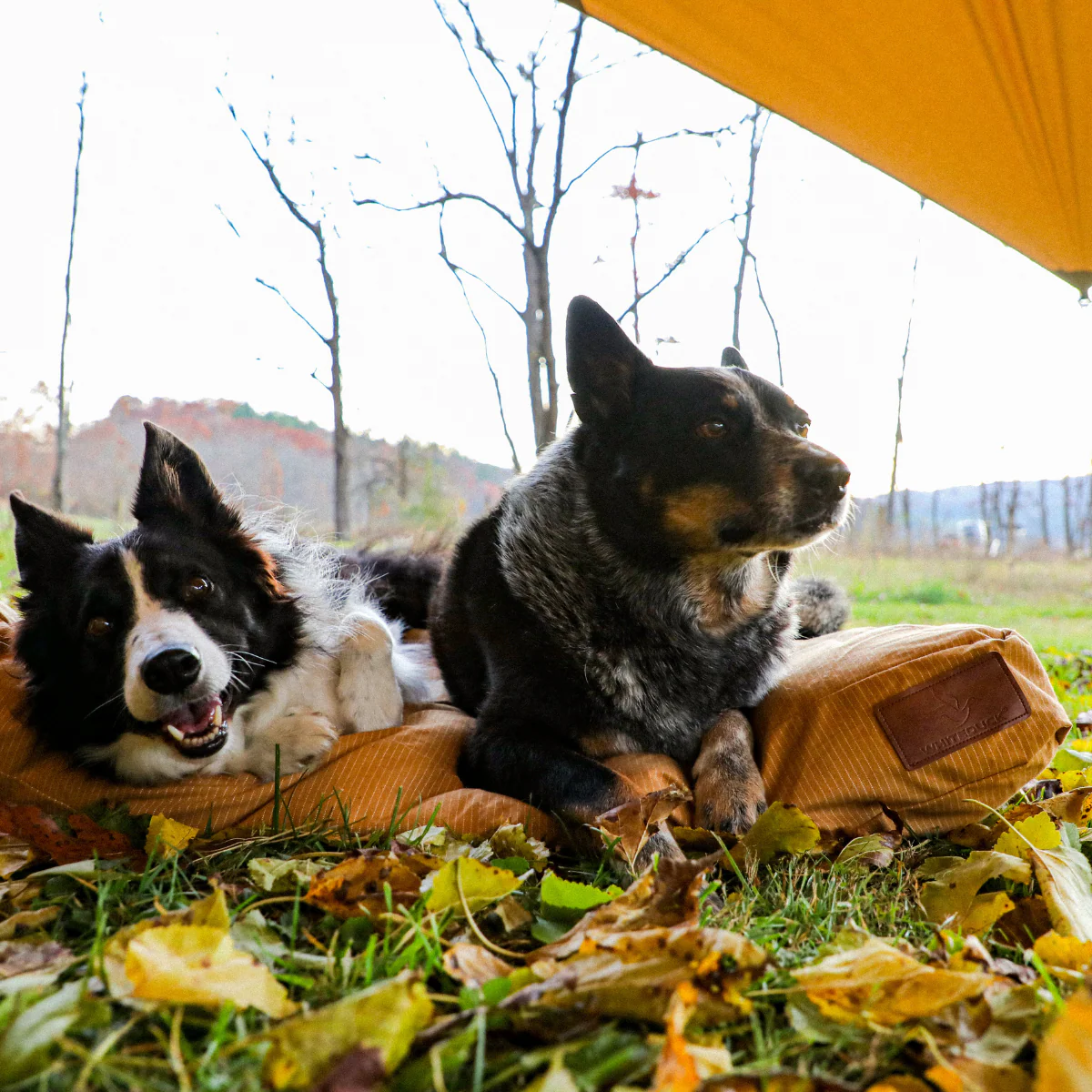 Sunshade Tarp 400 - Image 11