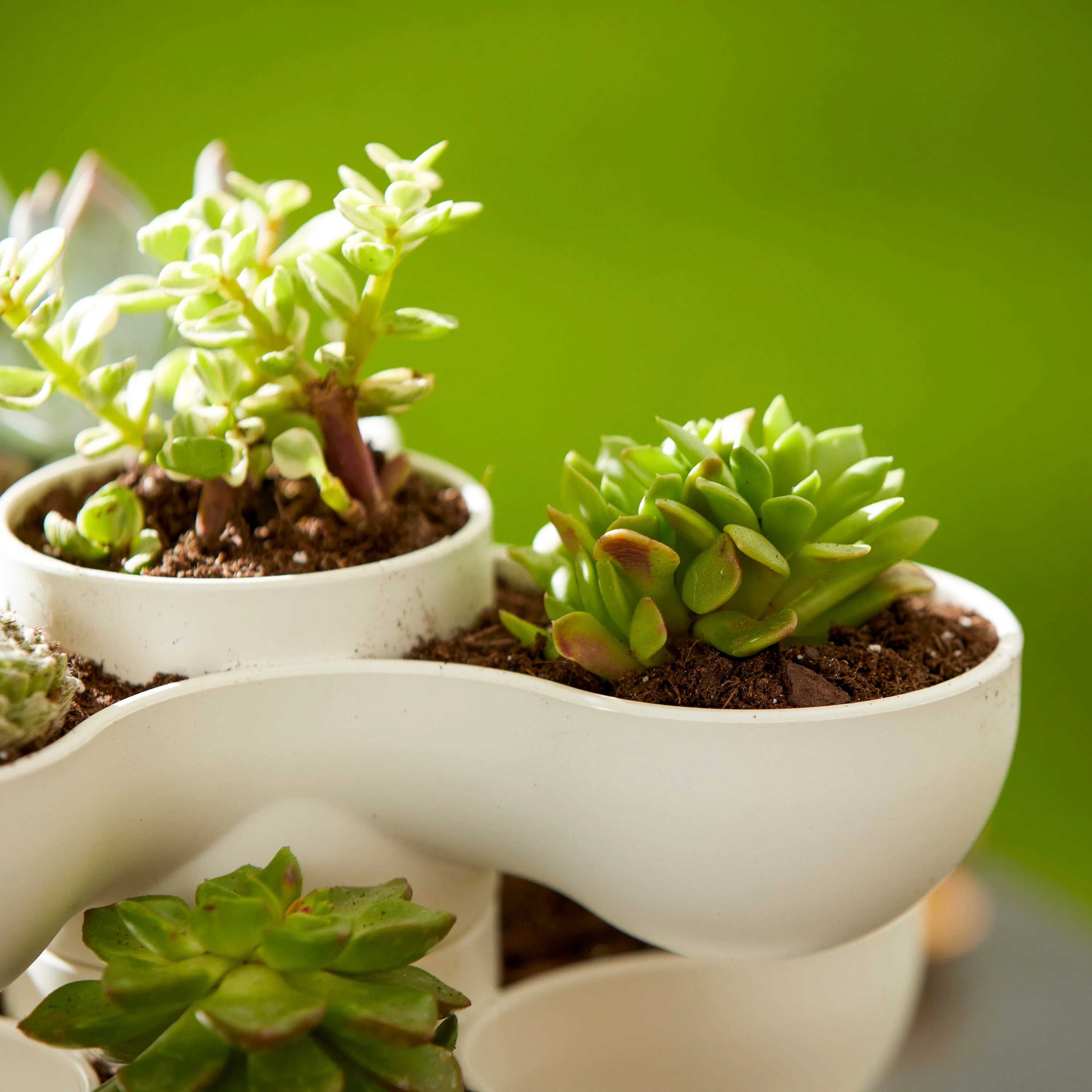 The HC Companies 8" Pixie Indoor Stacking Succulent Planter Pot, Vanilla Bisque - Image 11