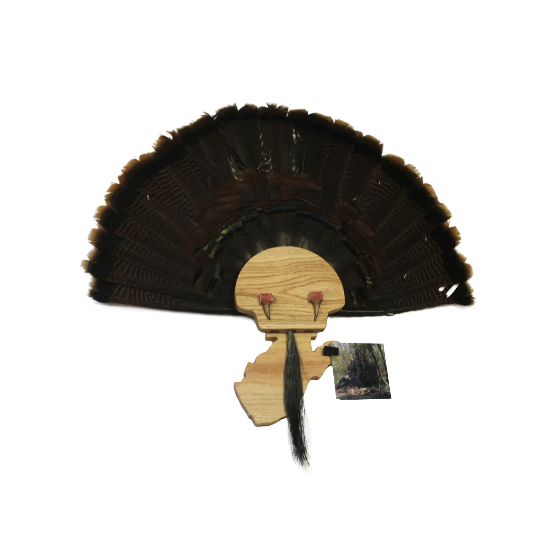 Turkey Mount Plaques with State - Image 15