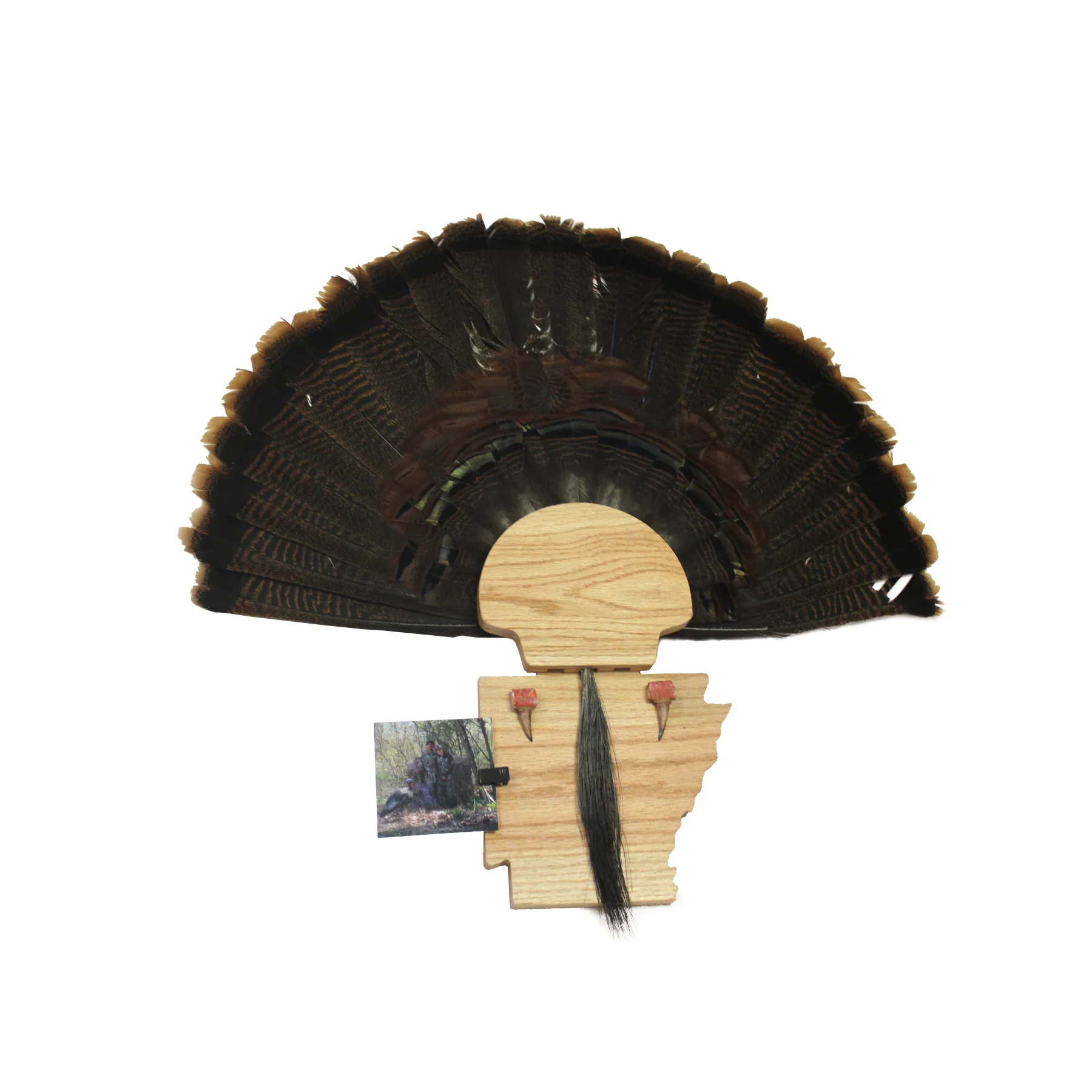 Turkey Mount Plaques with State - Image 17