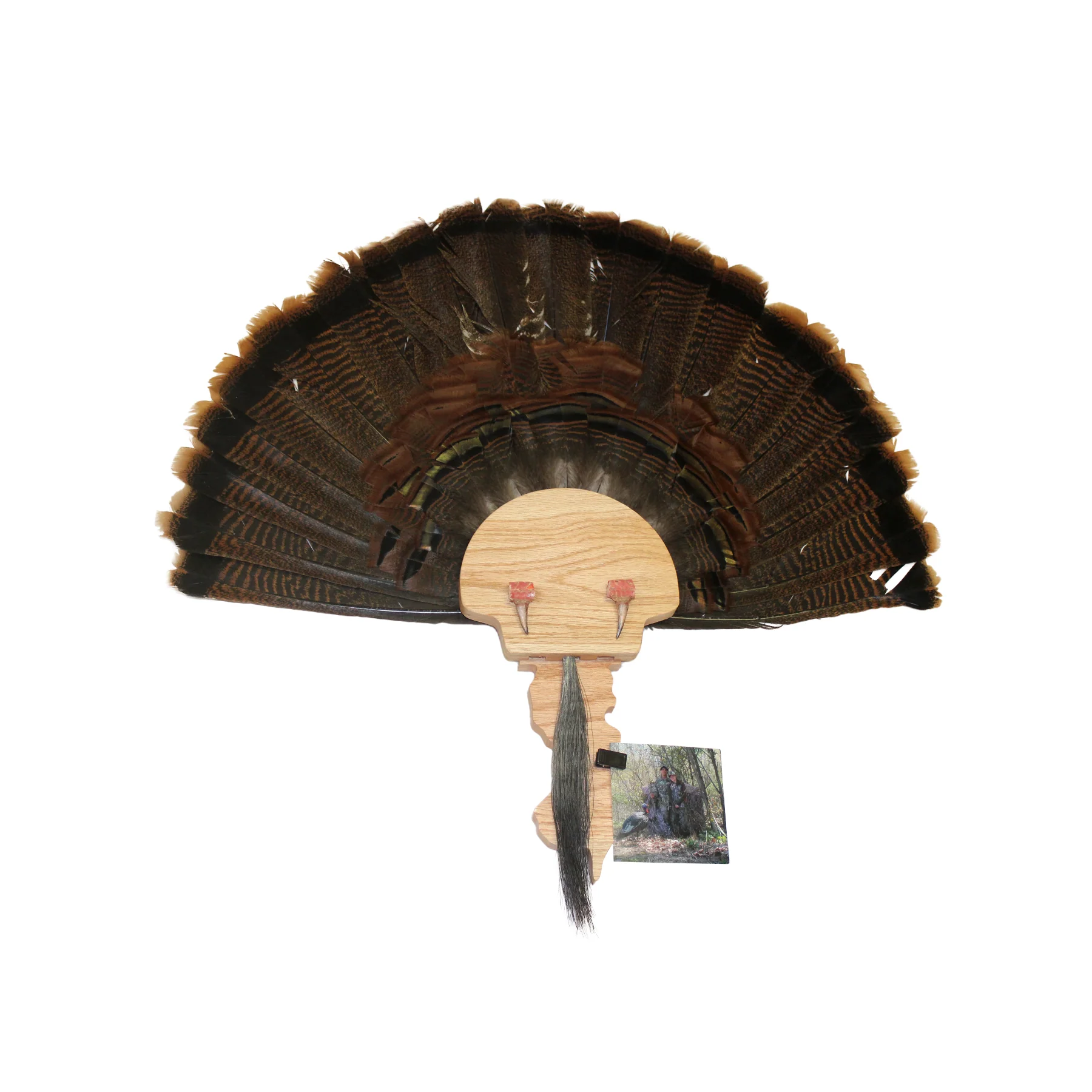 Turkey Mount Plaques with State - Image 6