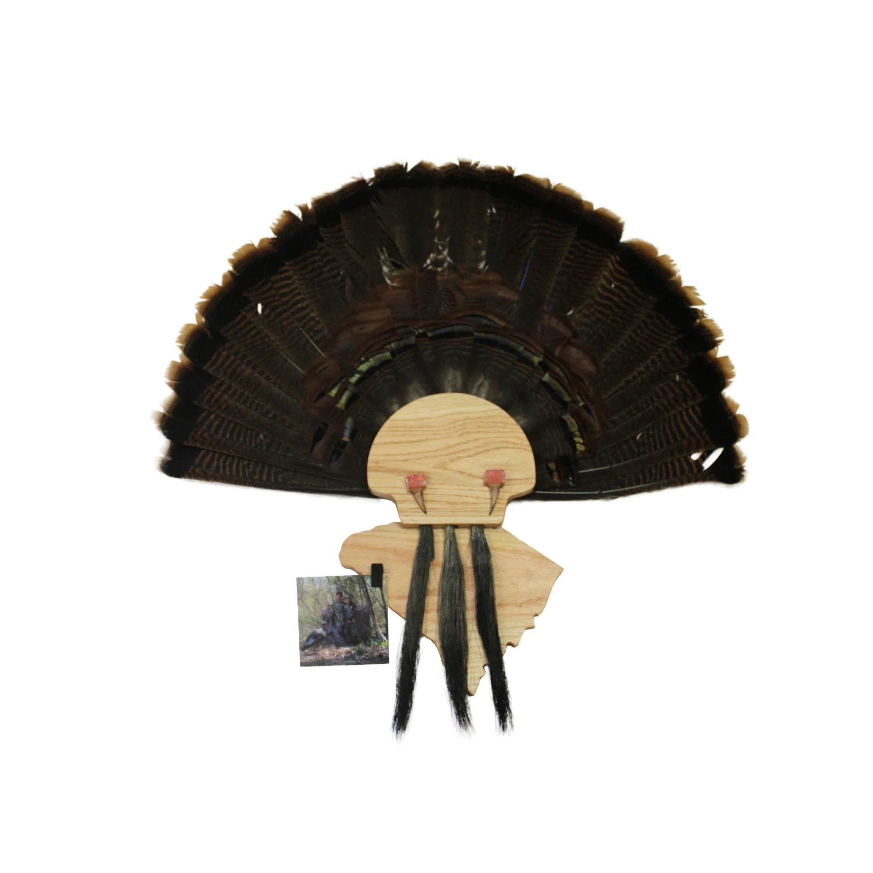 Turkey Mount Plaques with State - Image 9