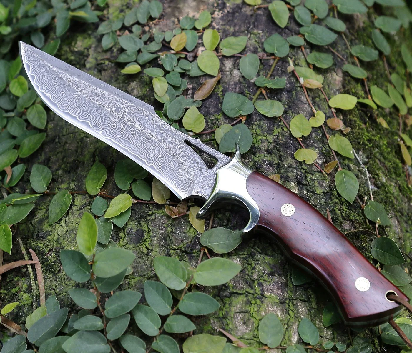 Velar Japanese Hunting Knife with VG-10 Damacus Blade and Exotic Red Sandal Wood Handle - Image 5