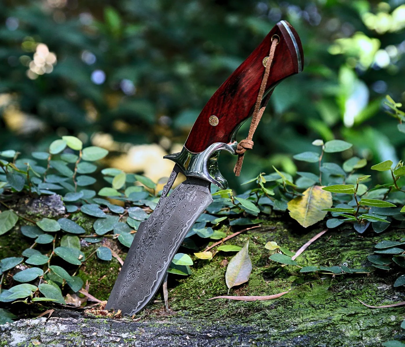 Velar Japanese Hunting Knife with VG-10 Damacus Blade and Exotic Red Sandal Wood Handle - Image 7