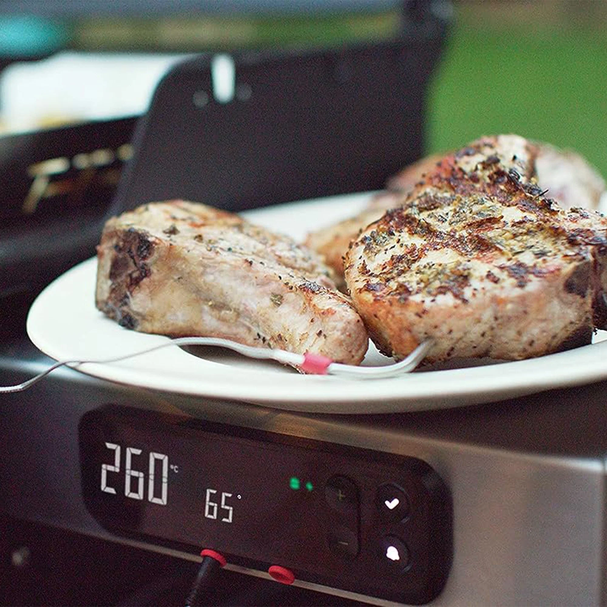 Weber Spirit SX-315 Stainless Steel 3 Burner Liquid Propane Gas Smart Grill - Image 6
