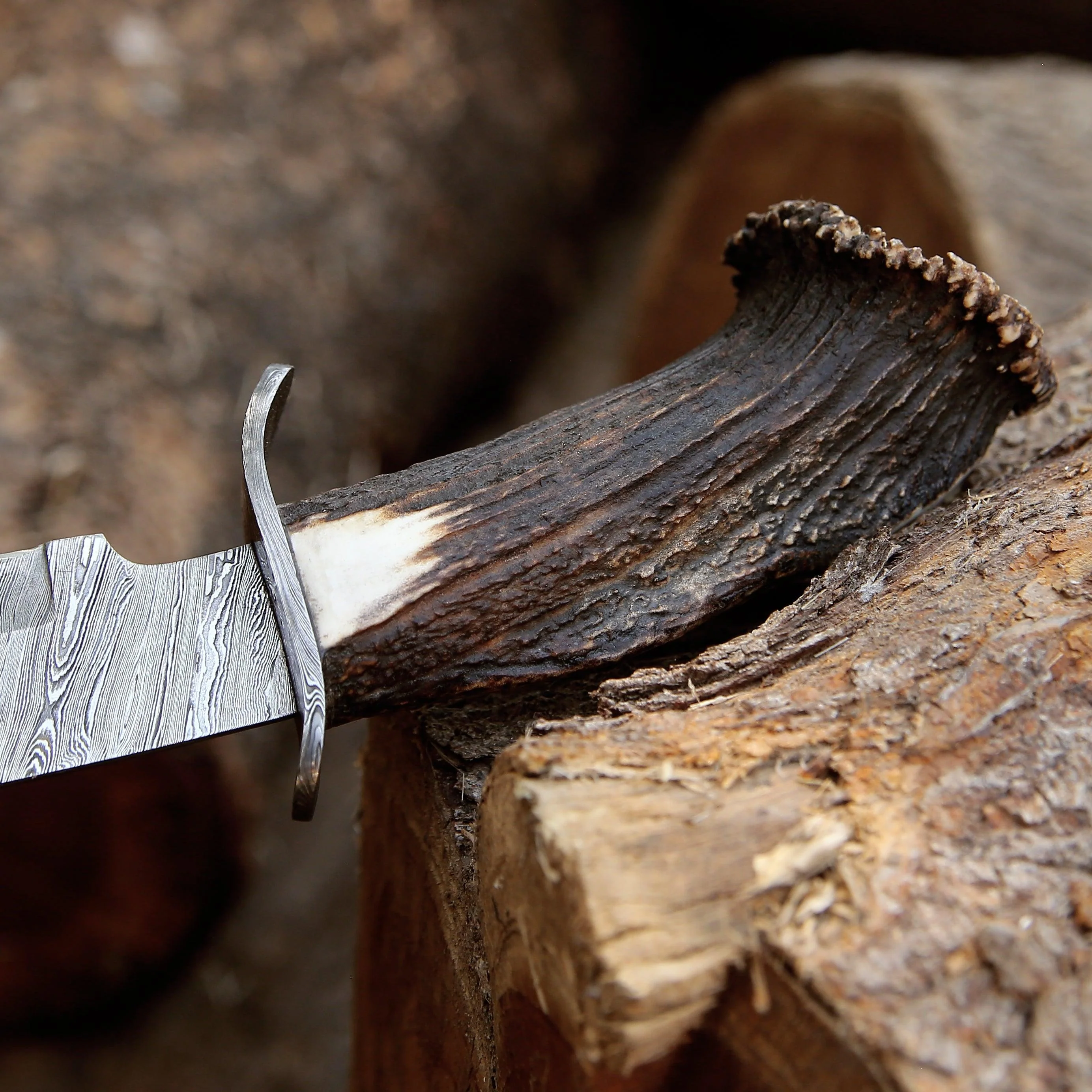 Wildfire Damascus Bowie Knife with Stag Horn Handle - Image 2