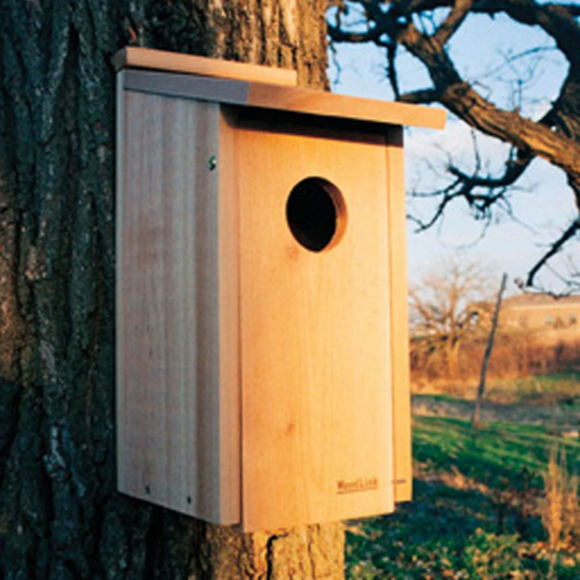 Woodlink Wooden Screech Owl Kestrel Bird House Nesting Box with Wood Shavings - Image 5