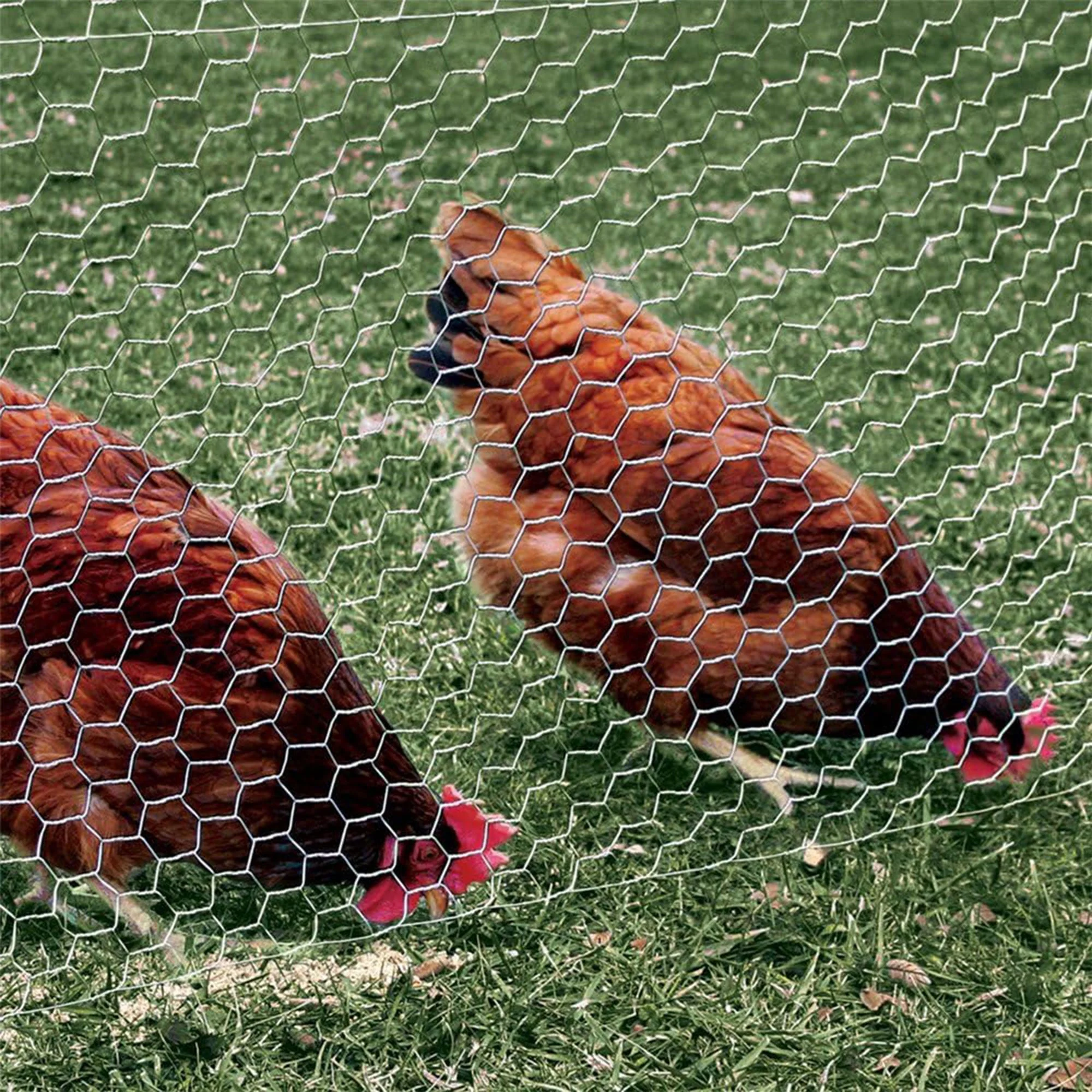 YardGard 20 Gauge Galvanized Poultry Netting for Animal Confinement and Plants - Image 4